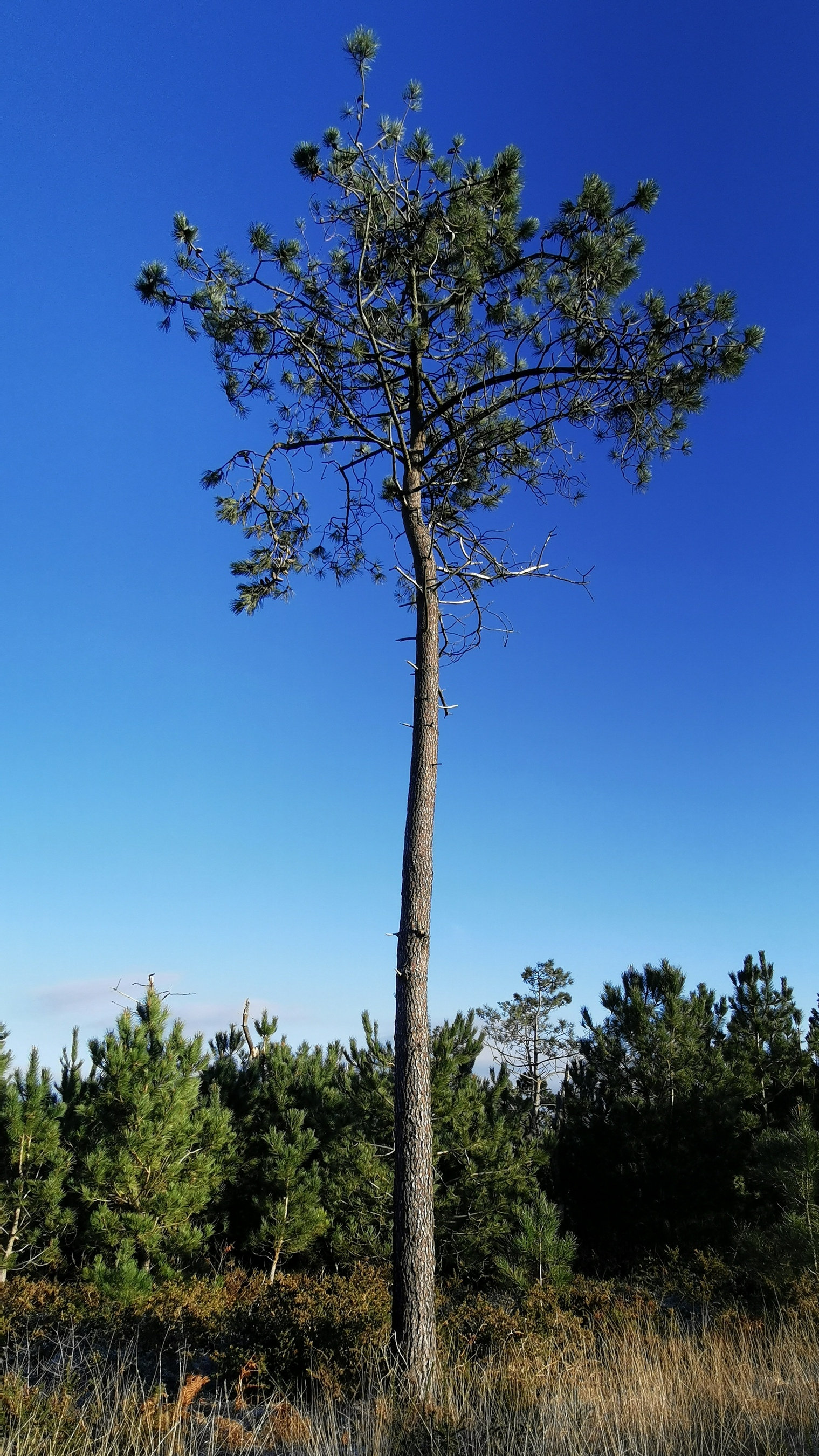 054-IMG_20210110_103858