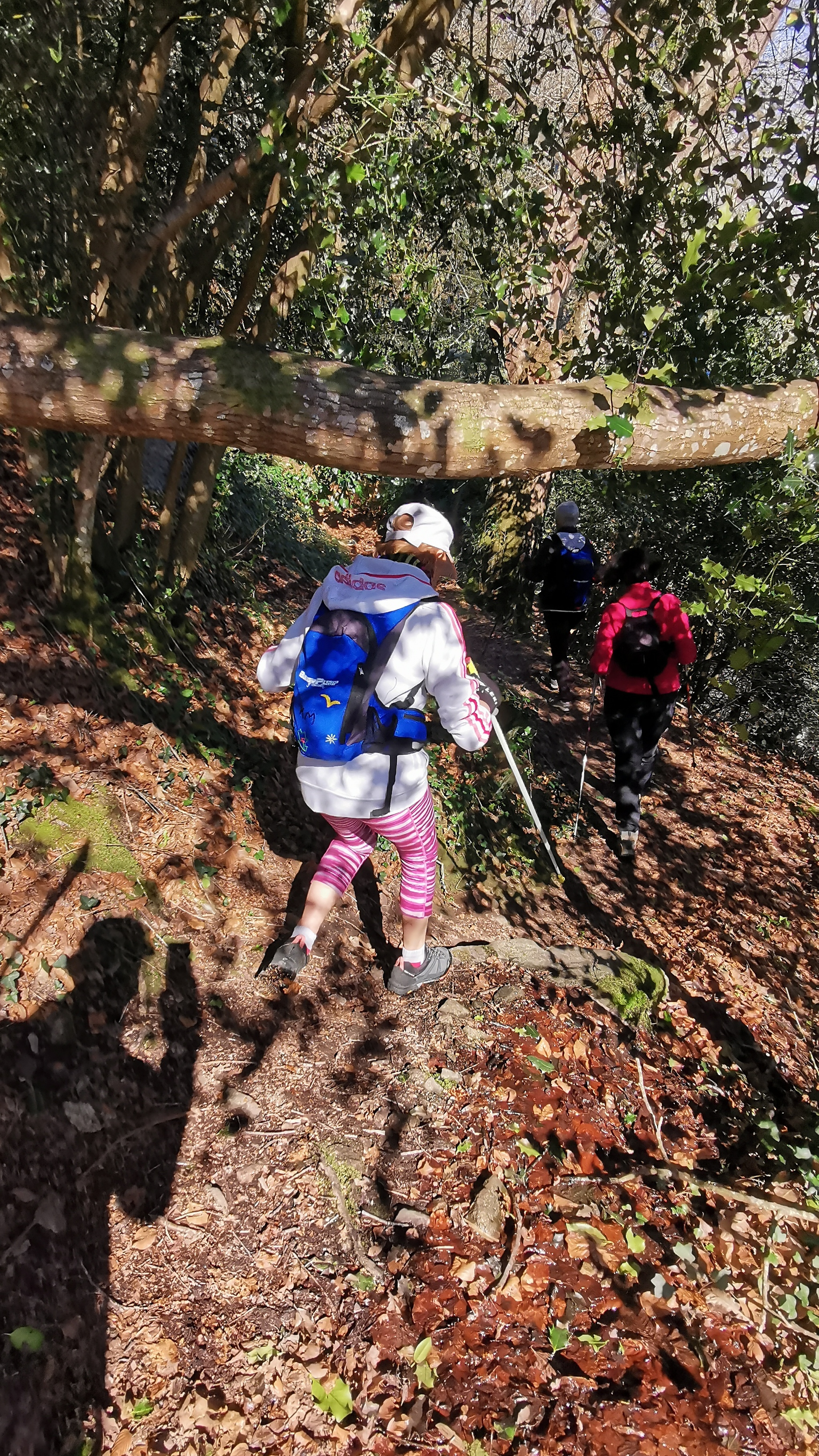 42-IMG_20210320_113005