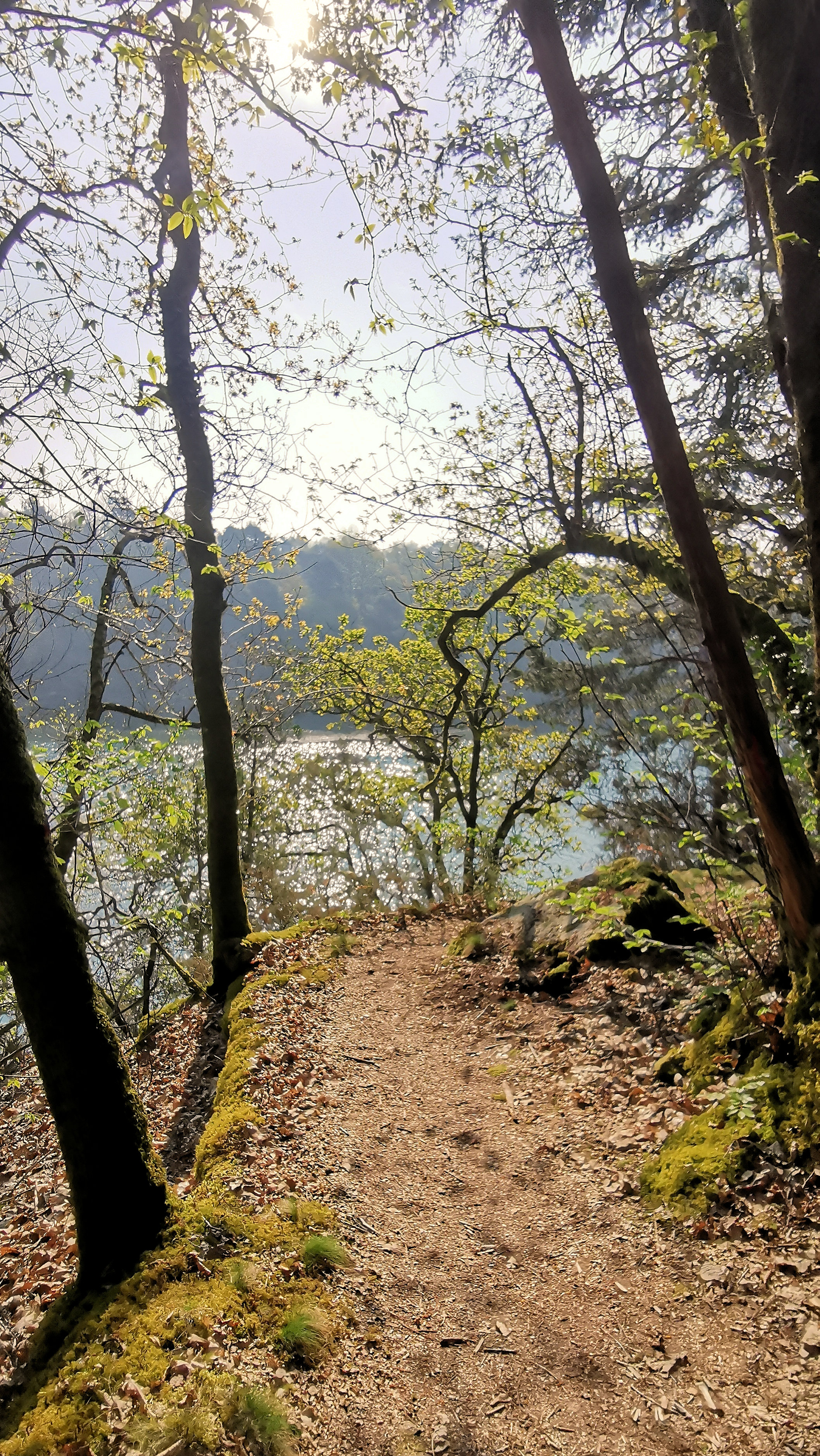 12-IMG_20210422_103136