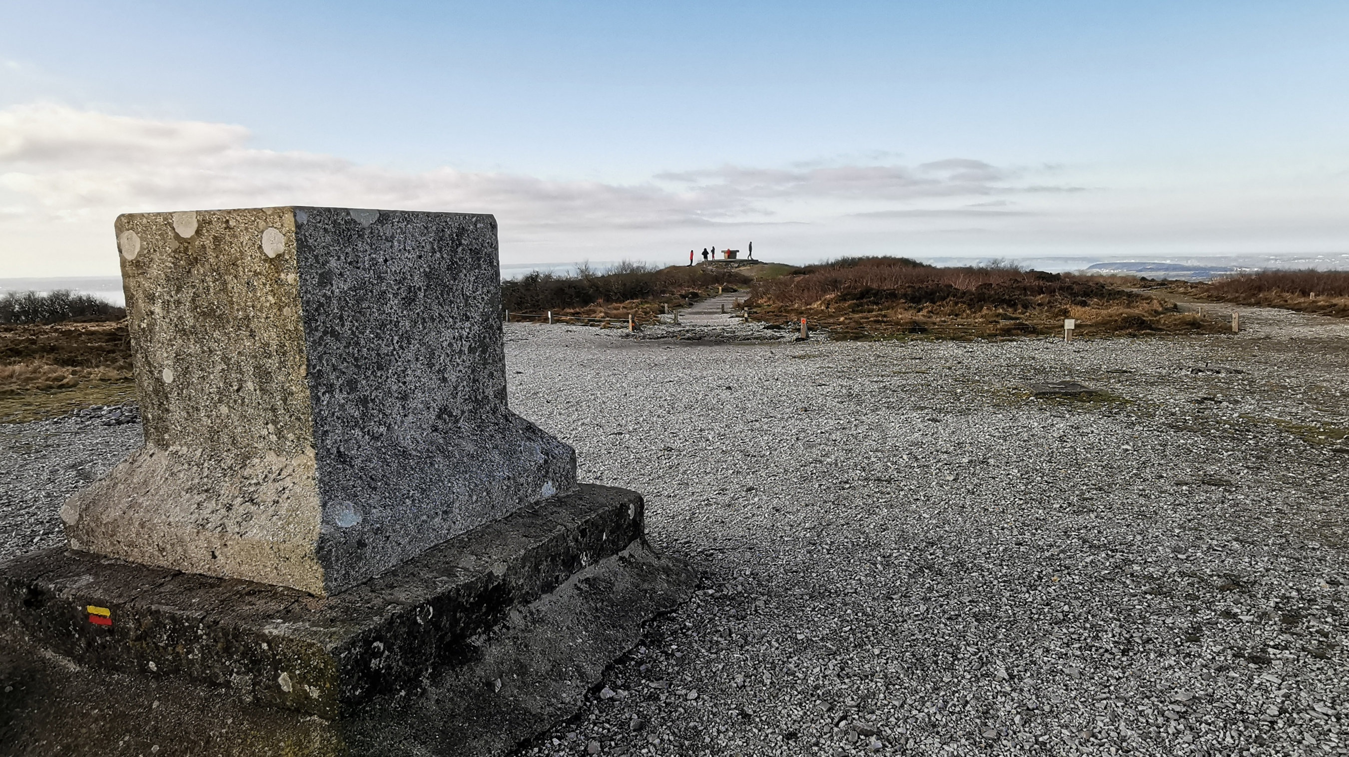 120-IMG_20210110_111644