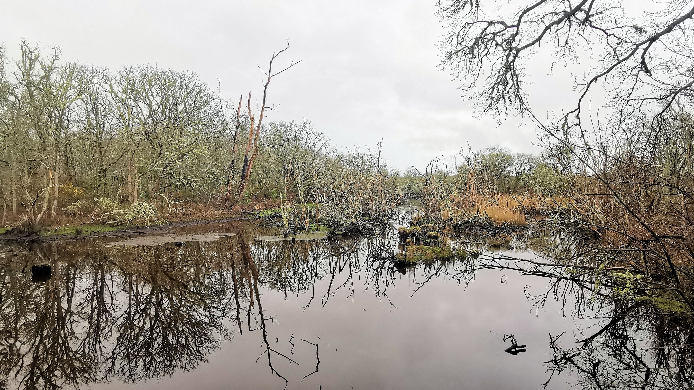 03-IMG_20210221_095008