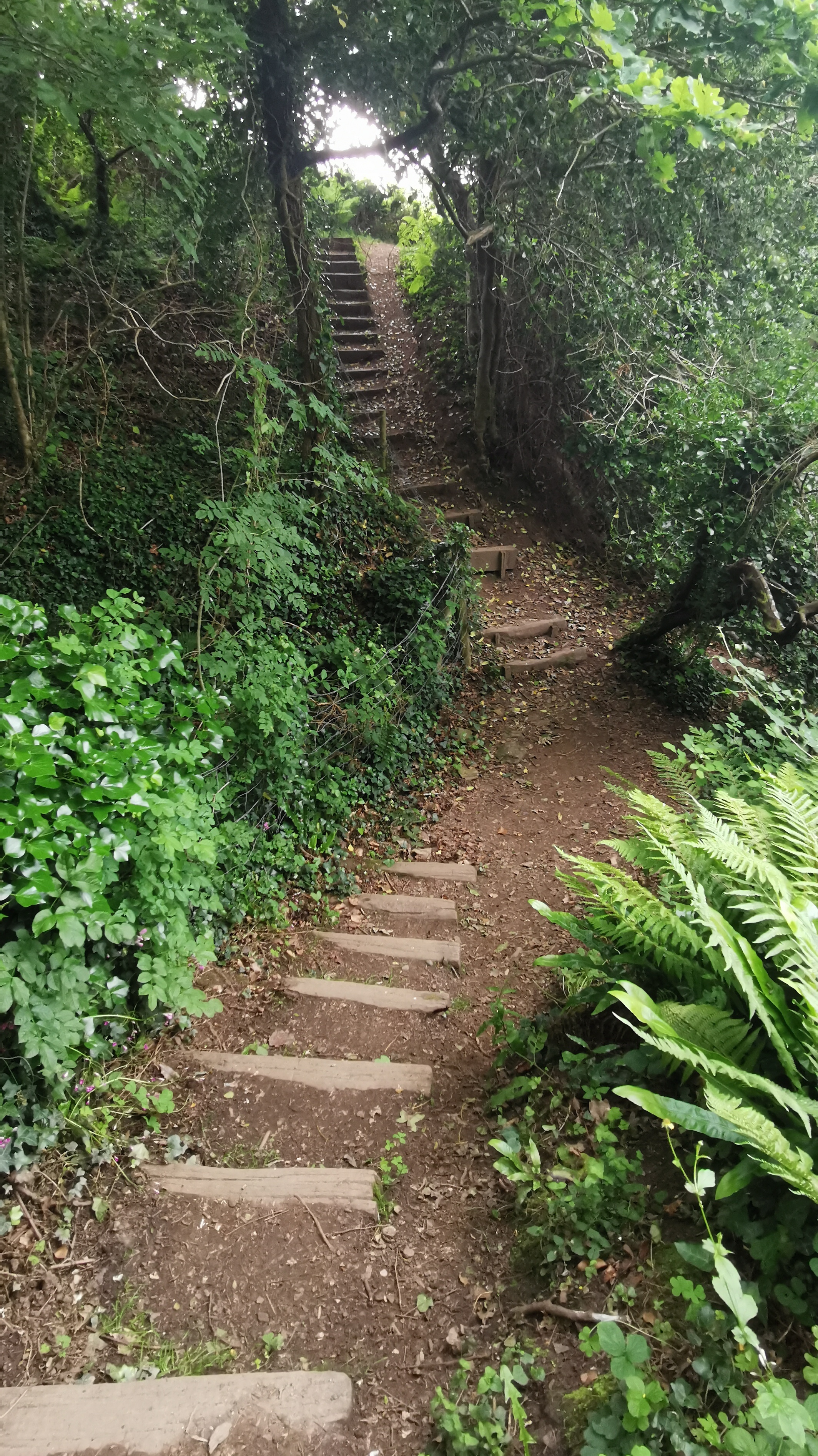 089-IMG_20210606_112213