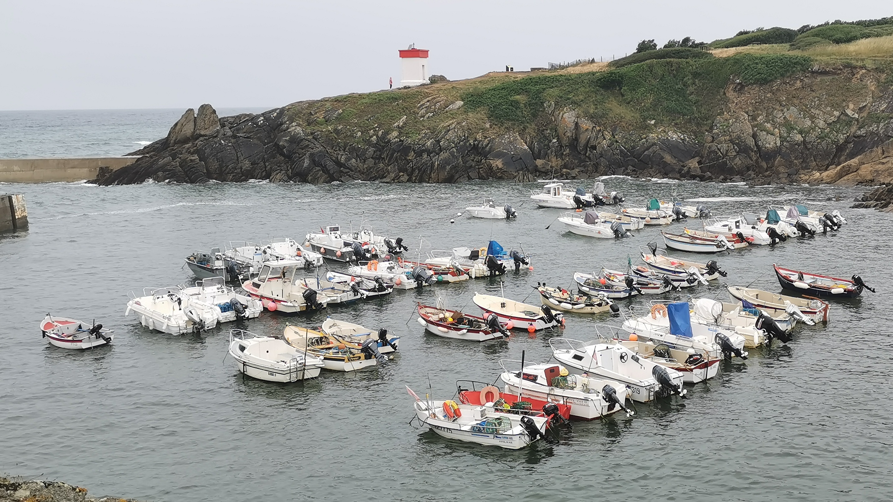 181-IMG_20210620_115421