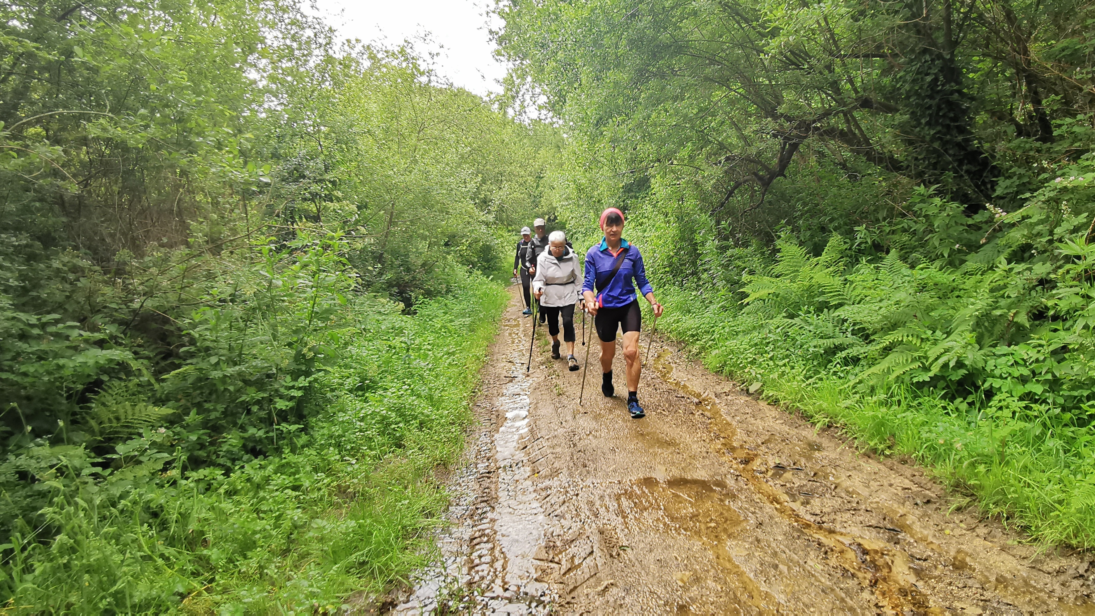 138-IMG_20210620_111941_1