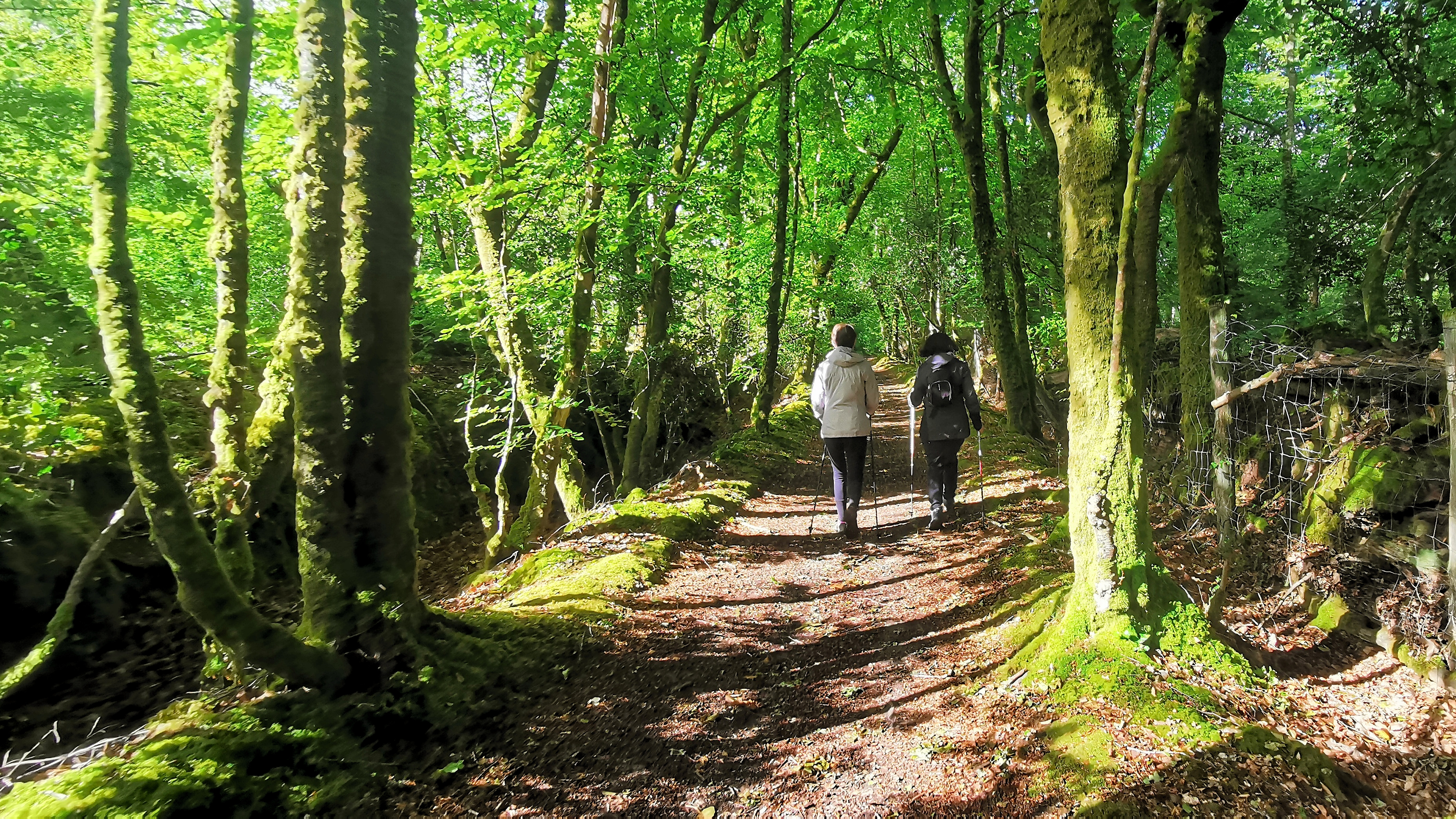 01-IMG_20210522_100807