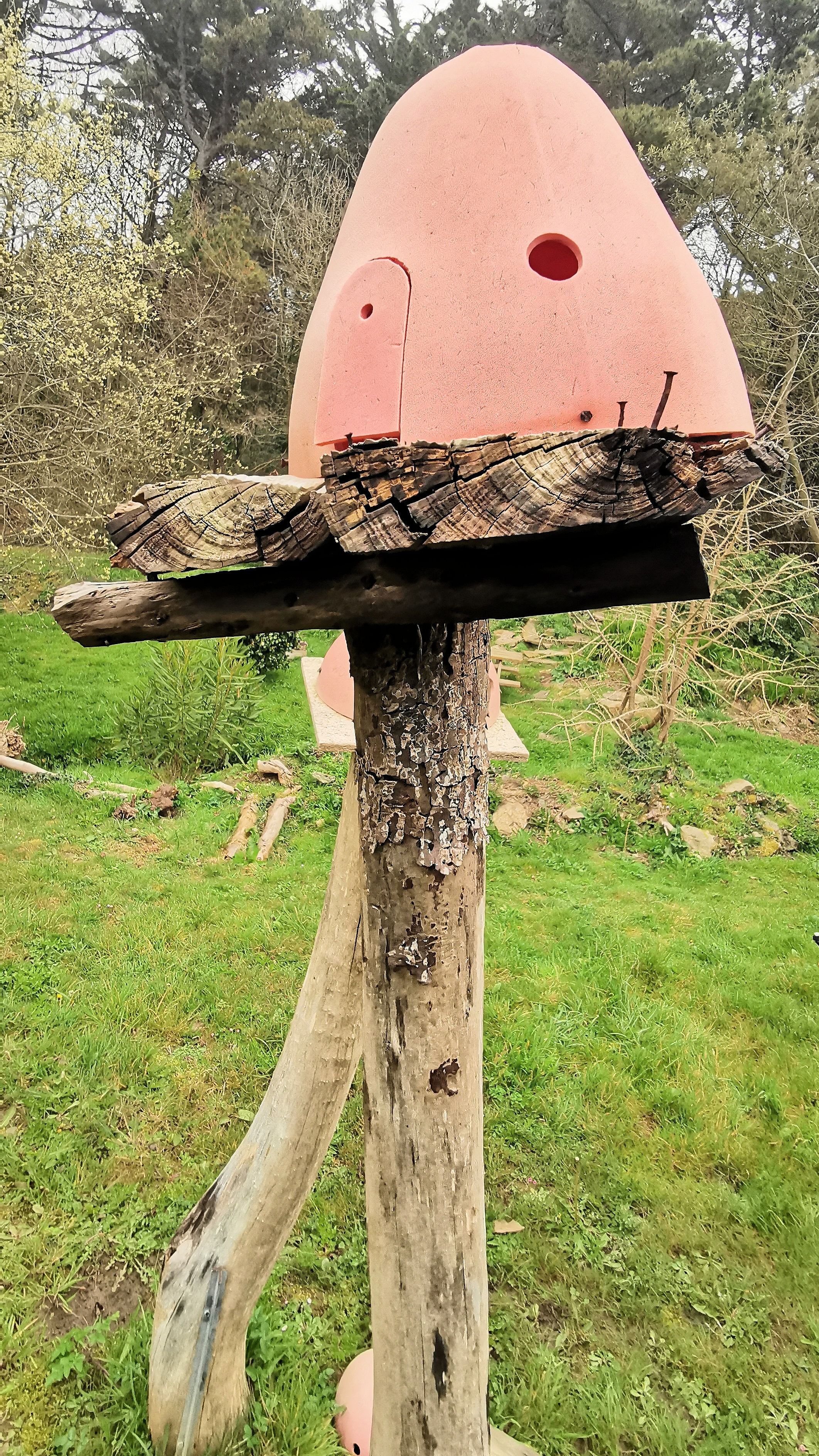 38-IMG_20210321_102015