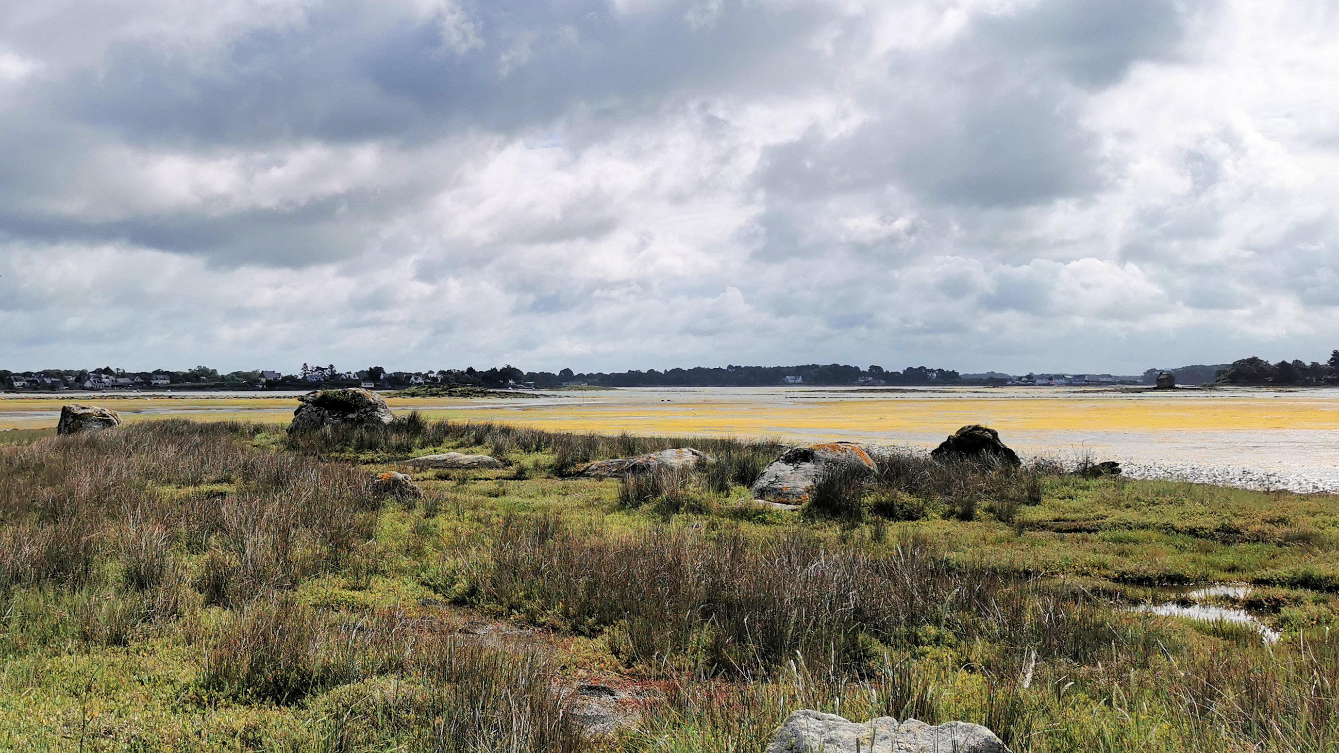 060-IMG_20210704_103501_1