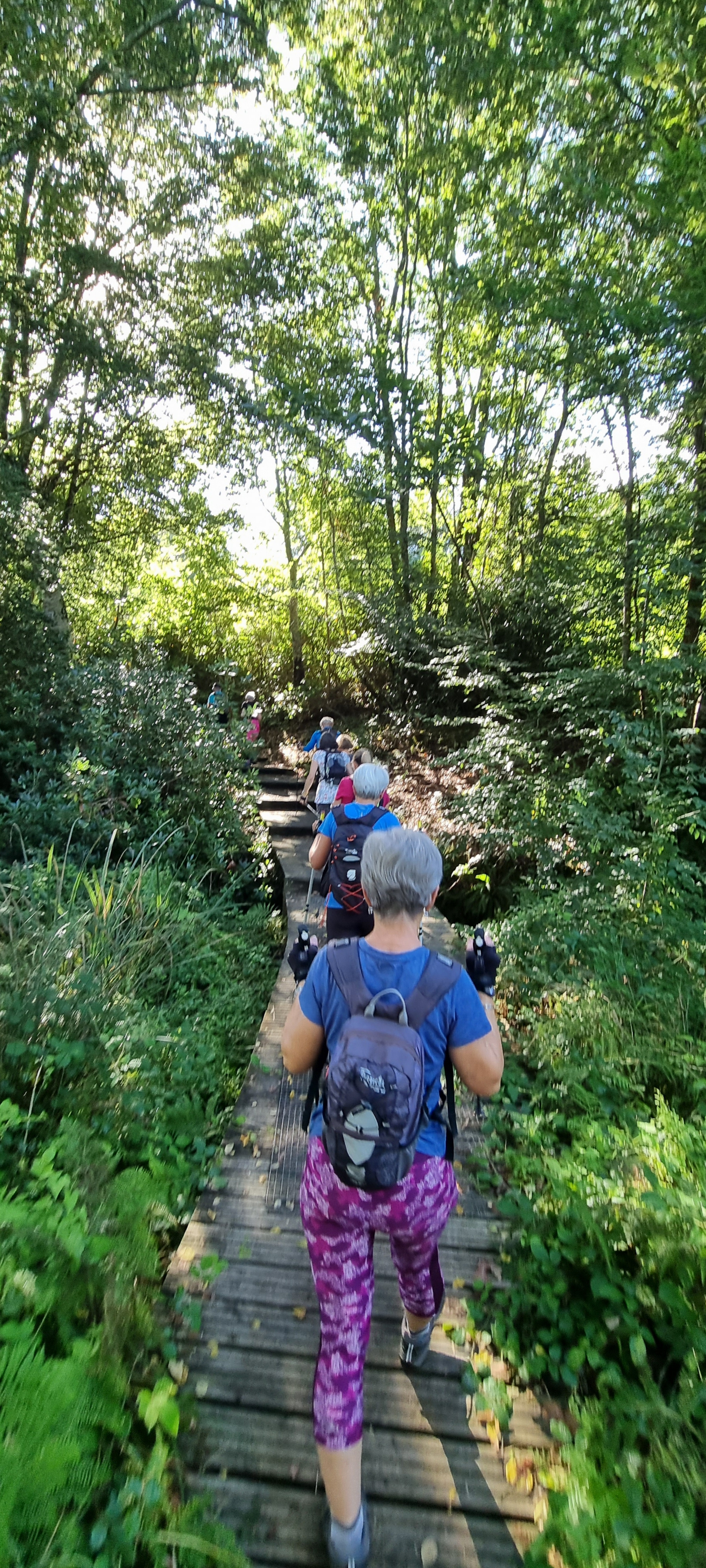 43-20210916_110912(0)