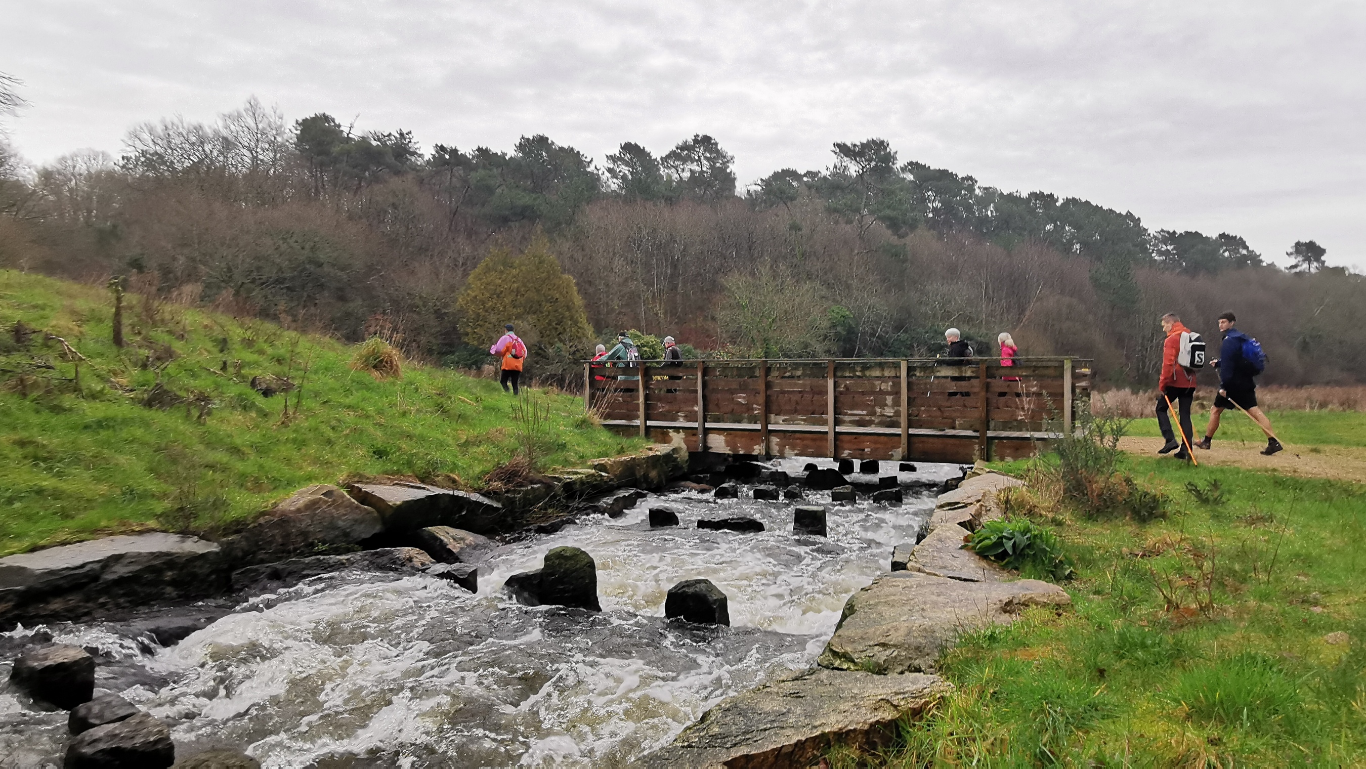 006-IMG_20210220_092414_1