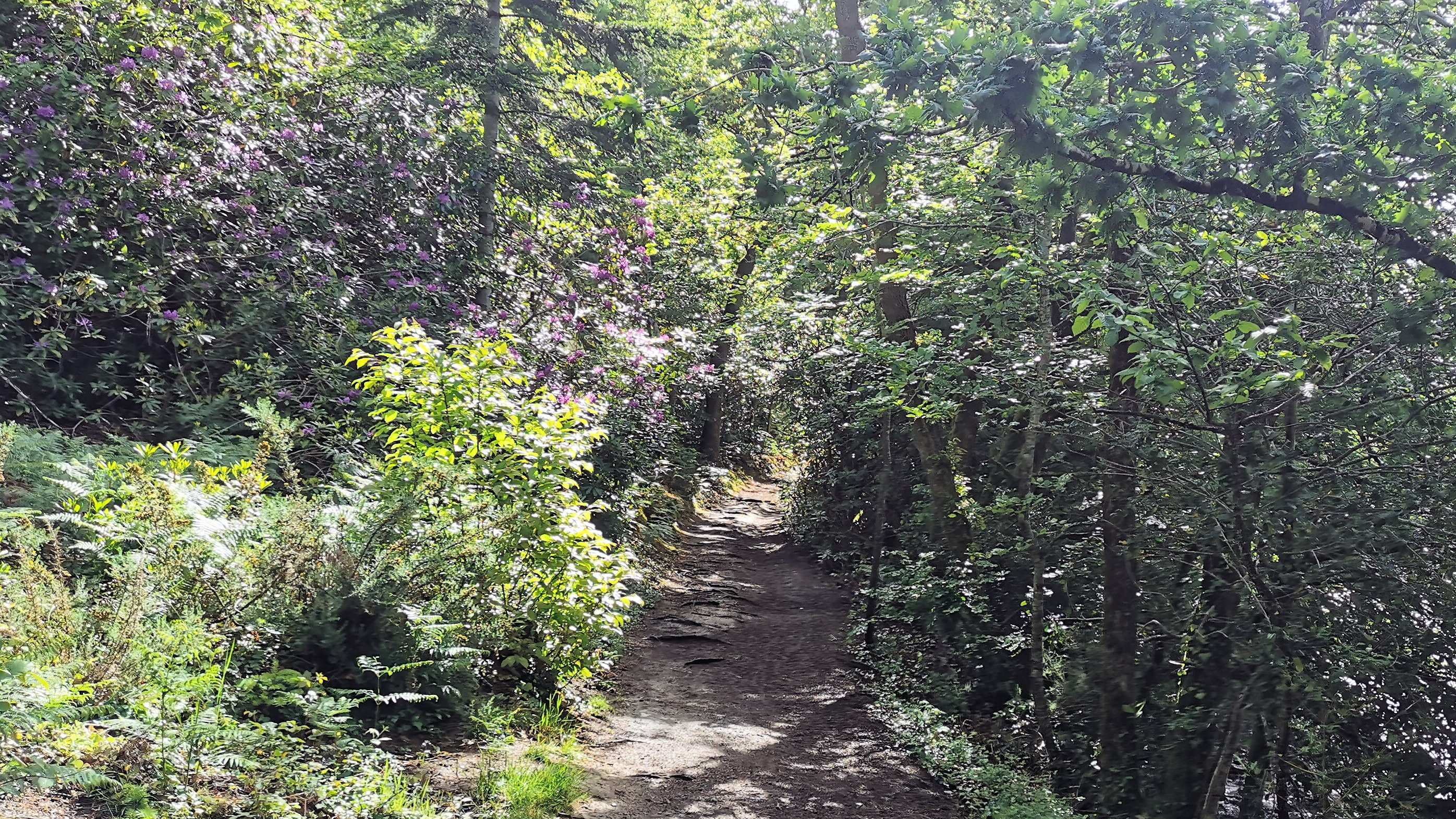 07-IMG_20210522_104509