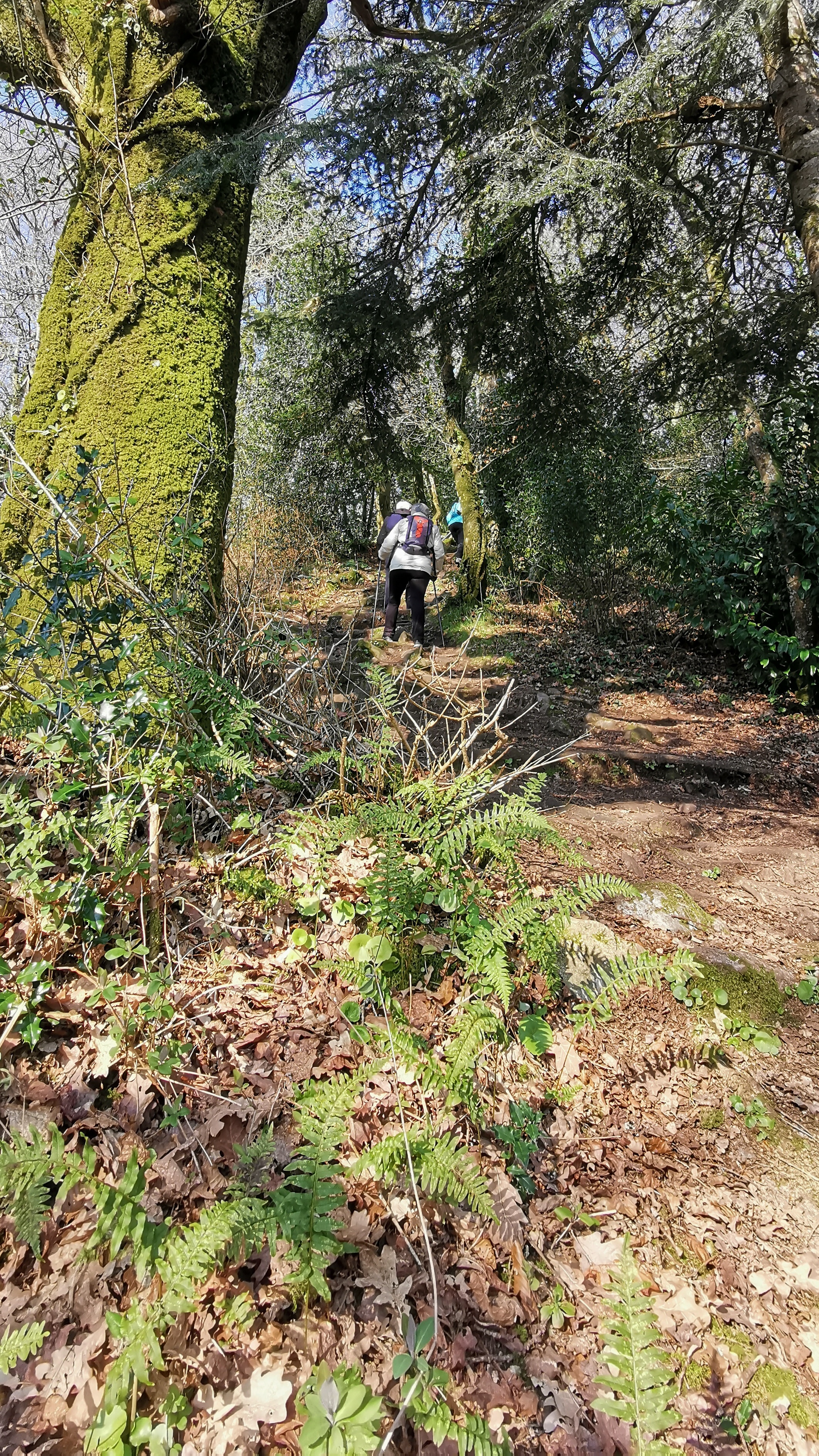 65-IMG_20210308_112322