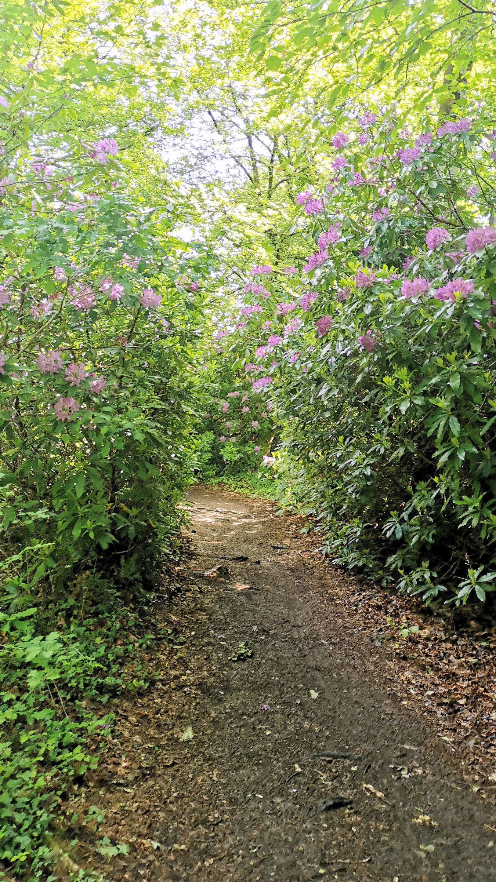 09-IMG_20210522_104648_1