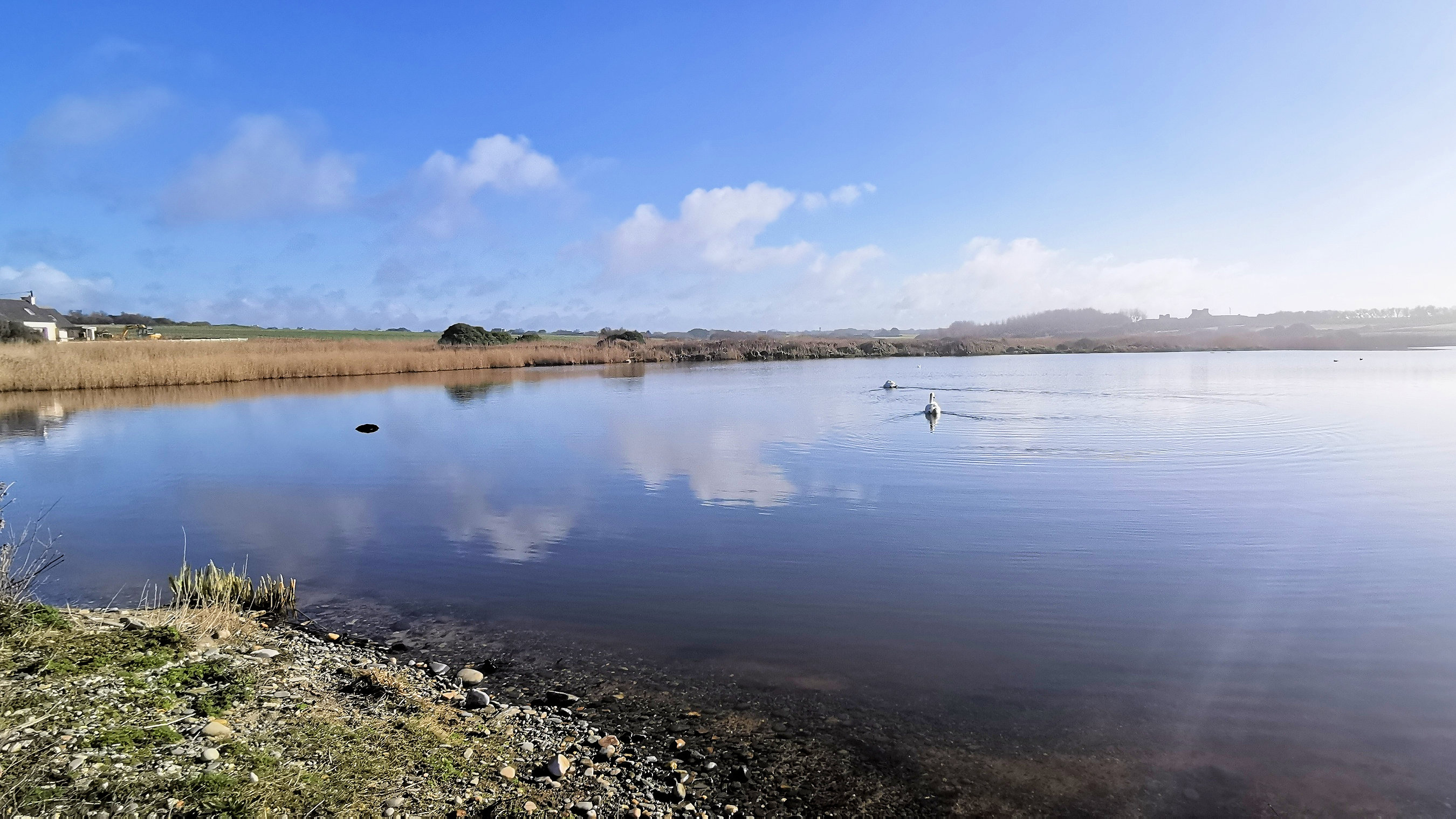 033-IMG_20210222_105949