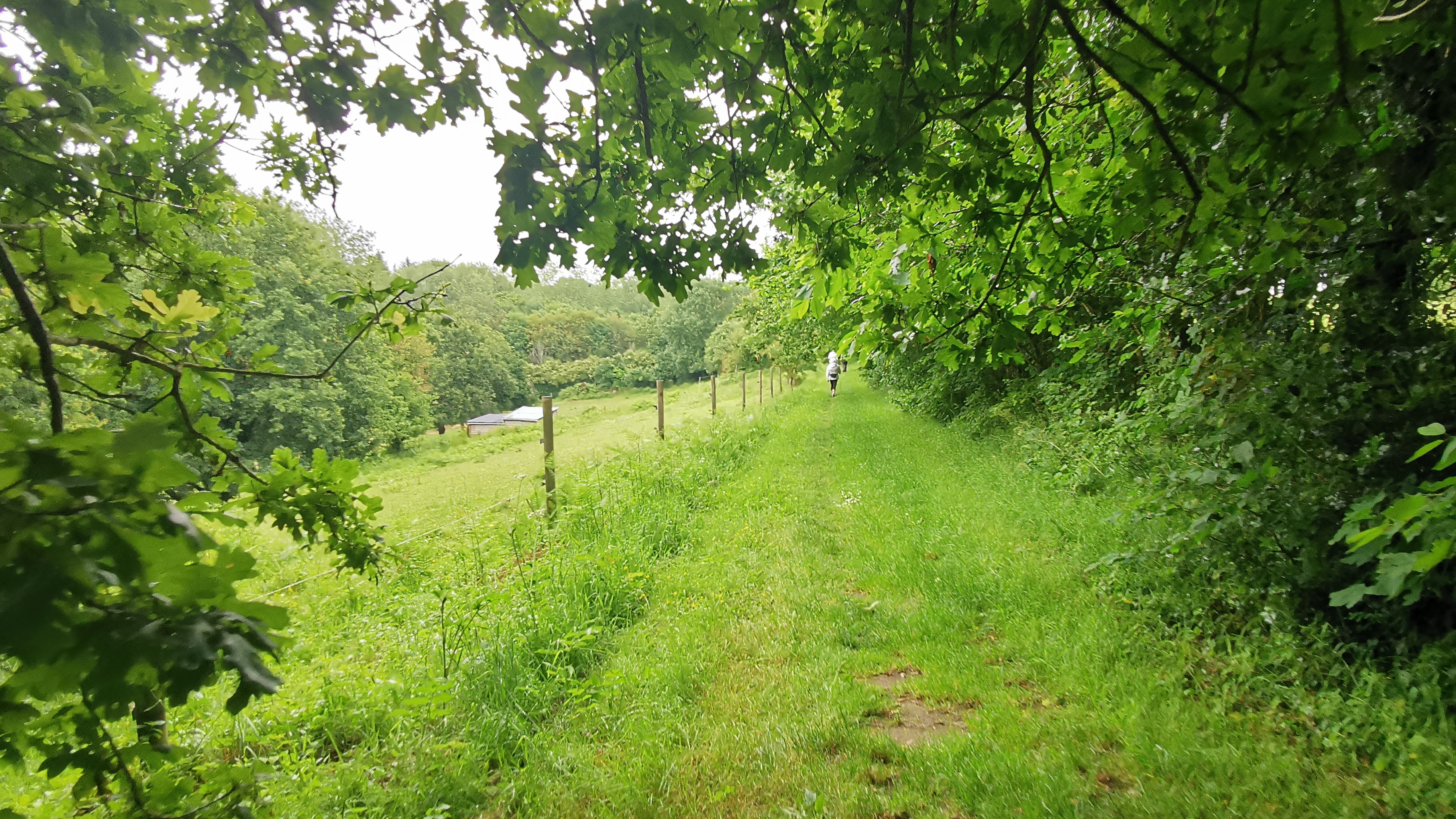 132-IMG_20210620_111232_1