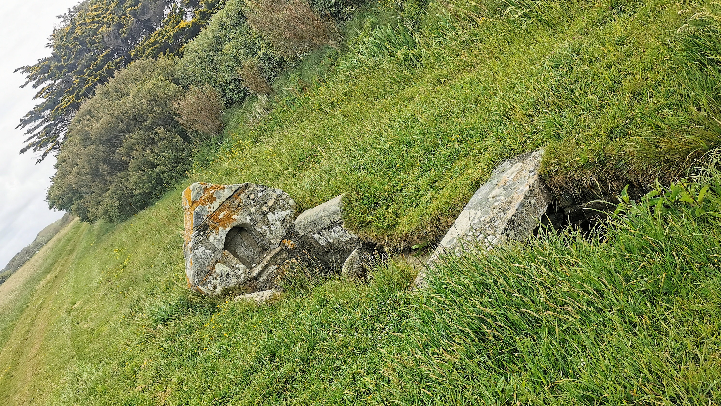 68-IMG_20210523_112603