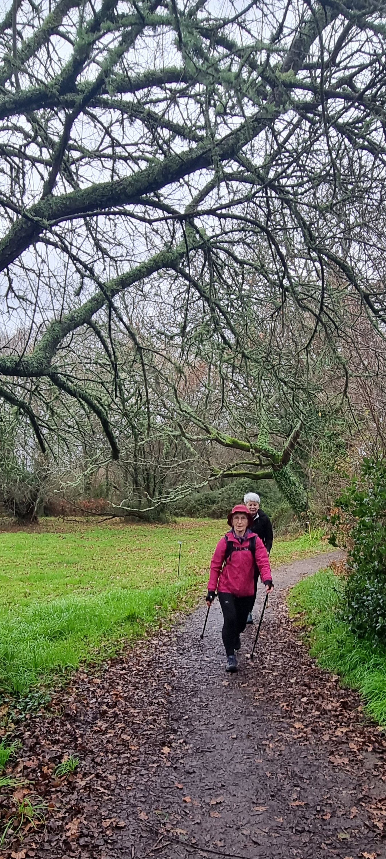 10-20211223_100955(0)