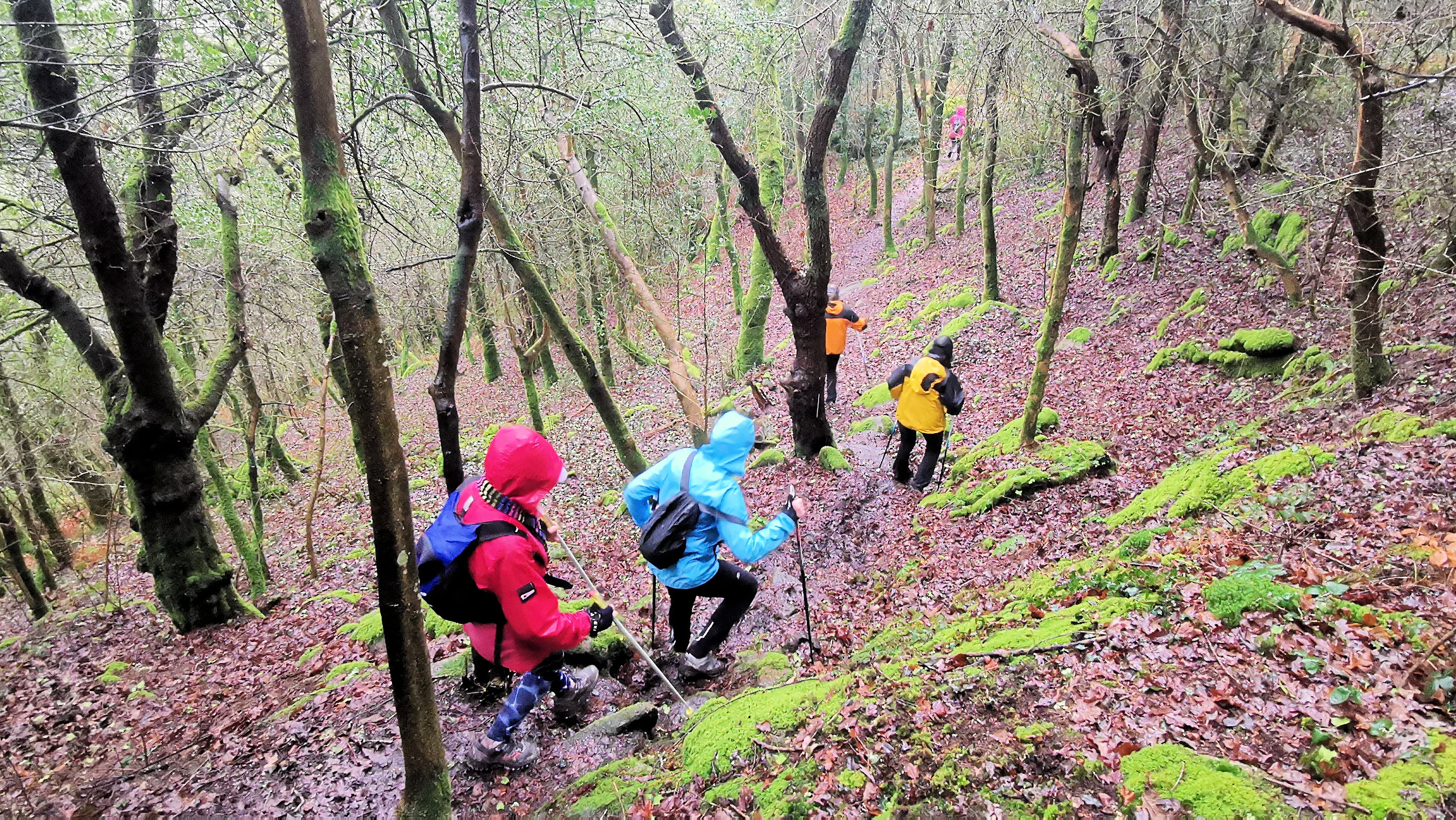 82-IMG_20210121_114544