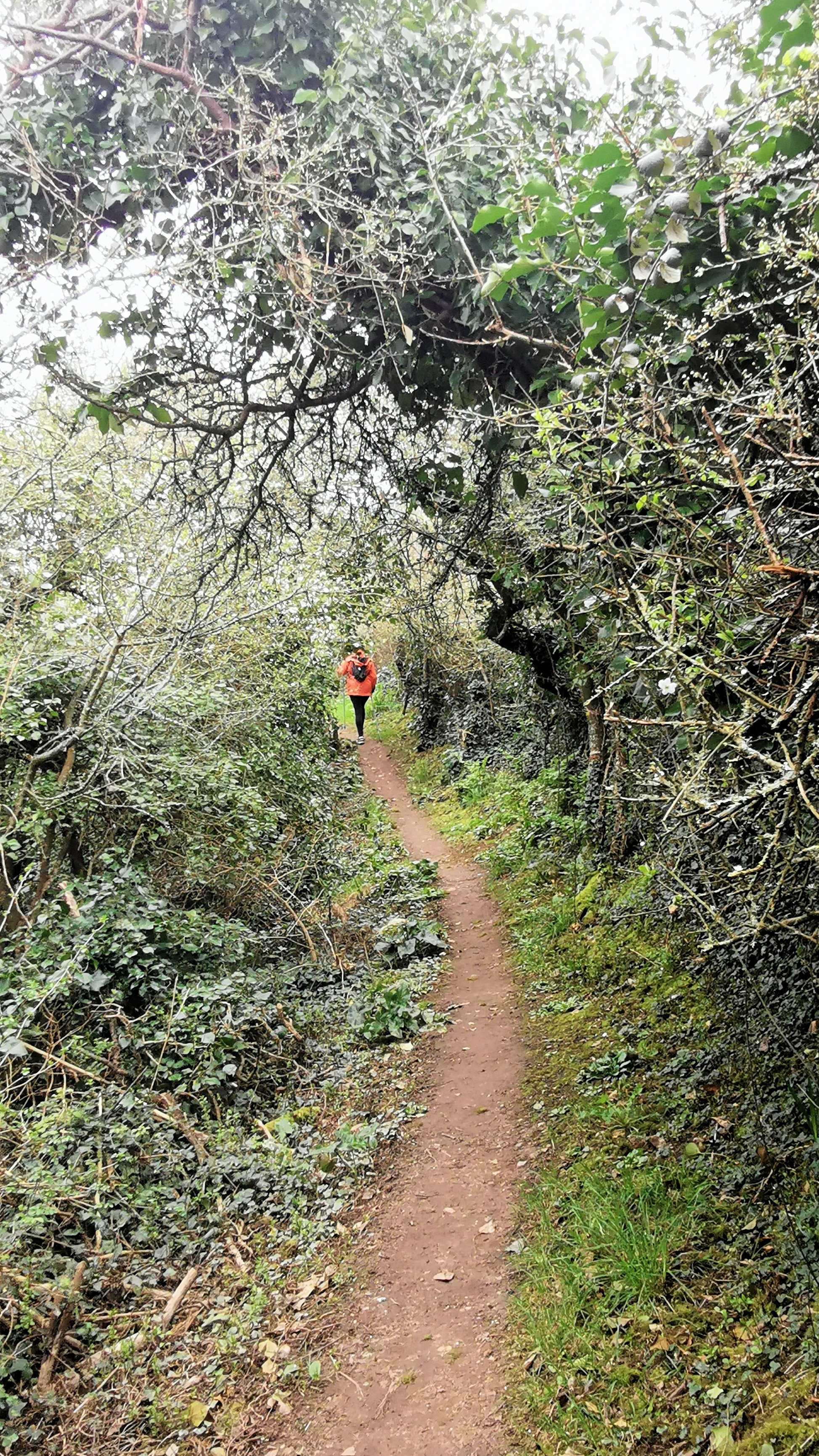 21-IMG_20210321_100433