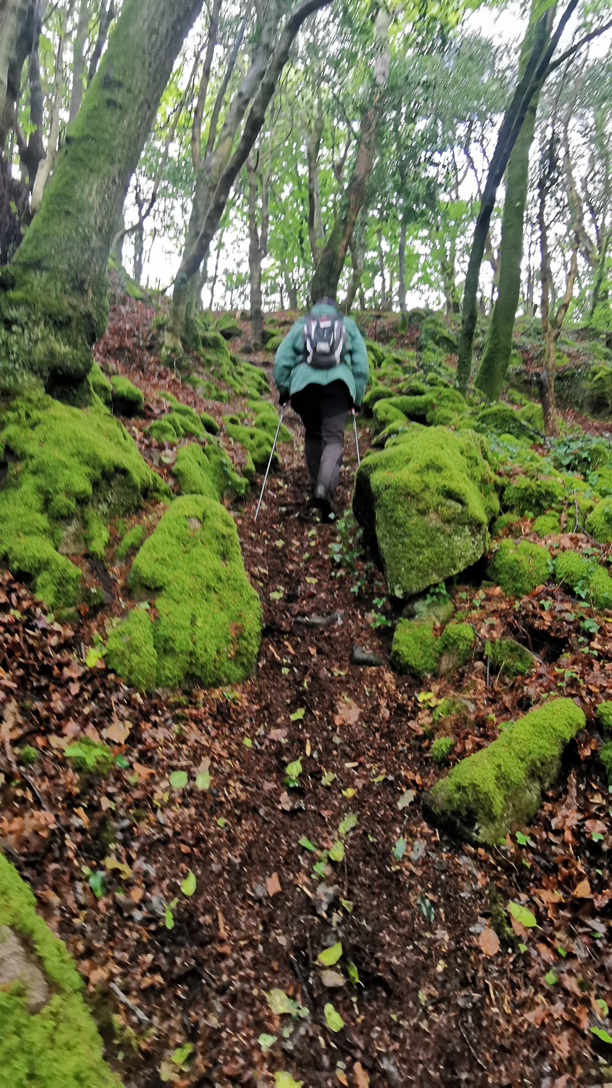 083-IMG_20210513_105531