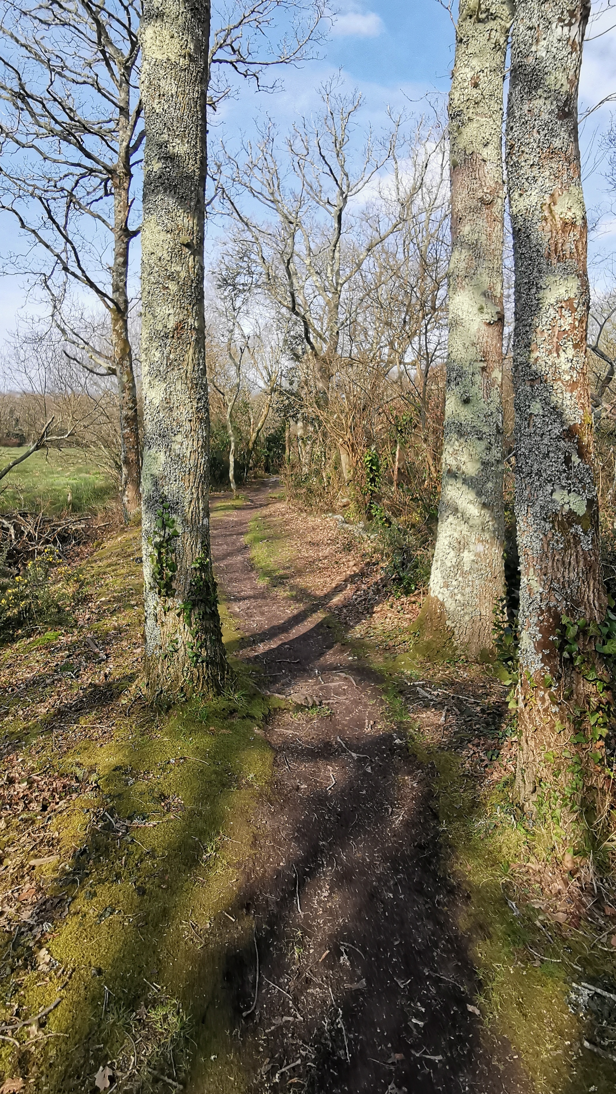 35-IMG_20210309_111120