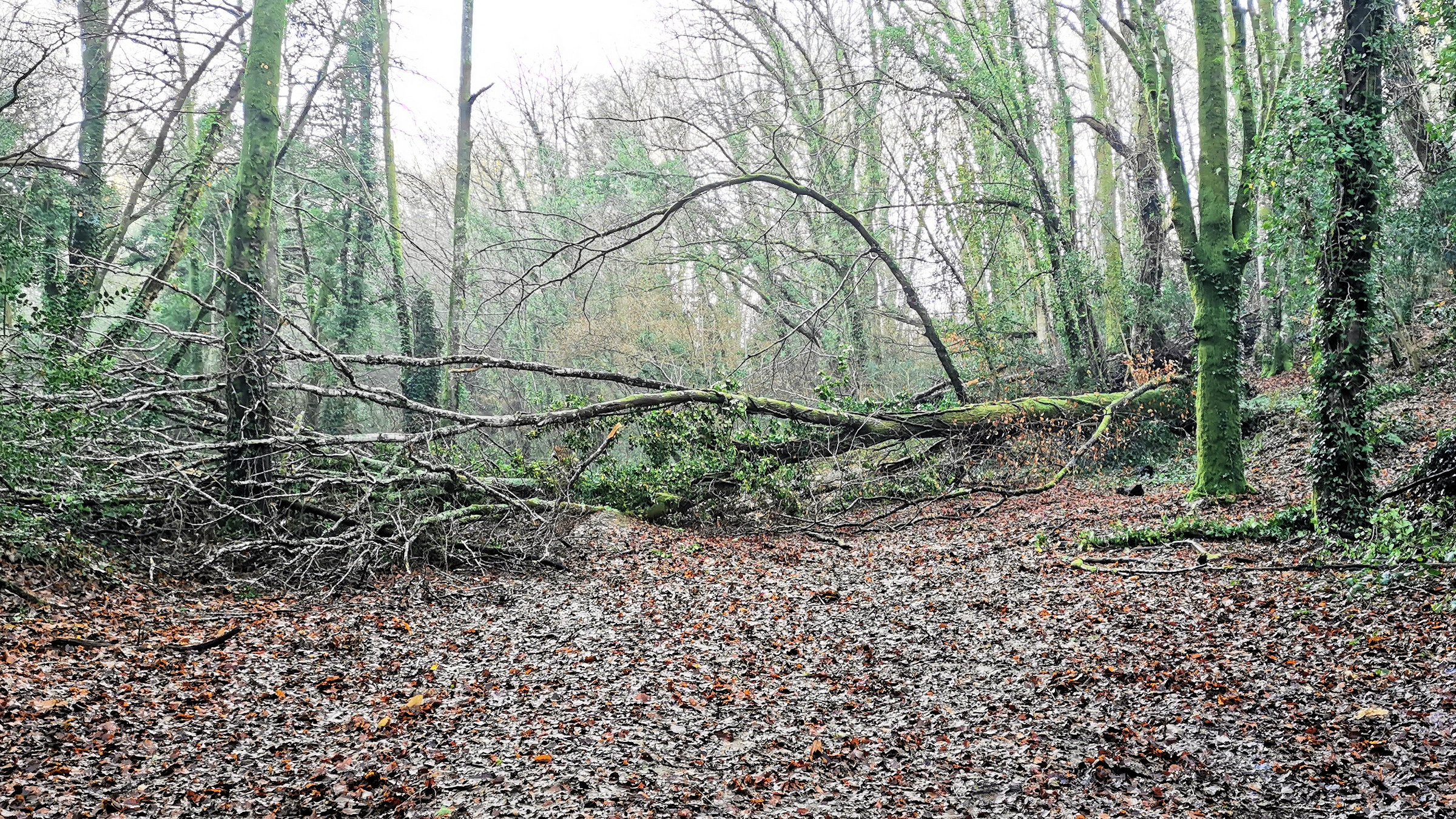 05-IMG_20210105_102509