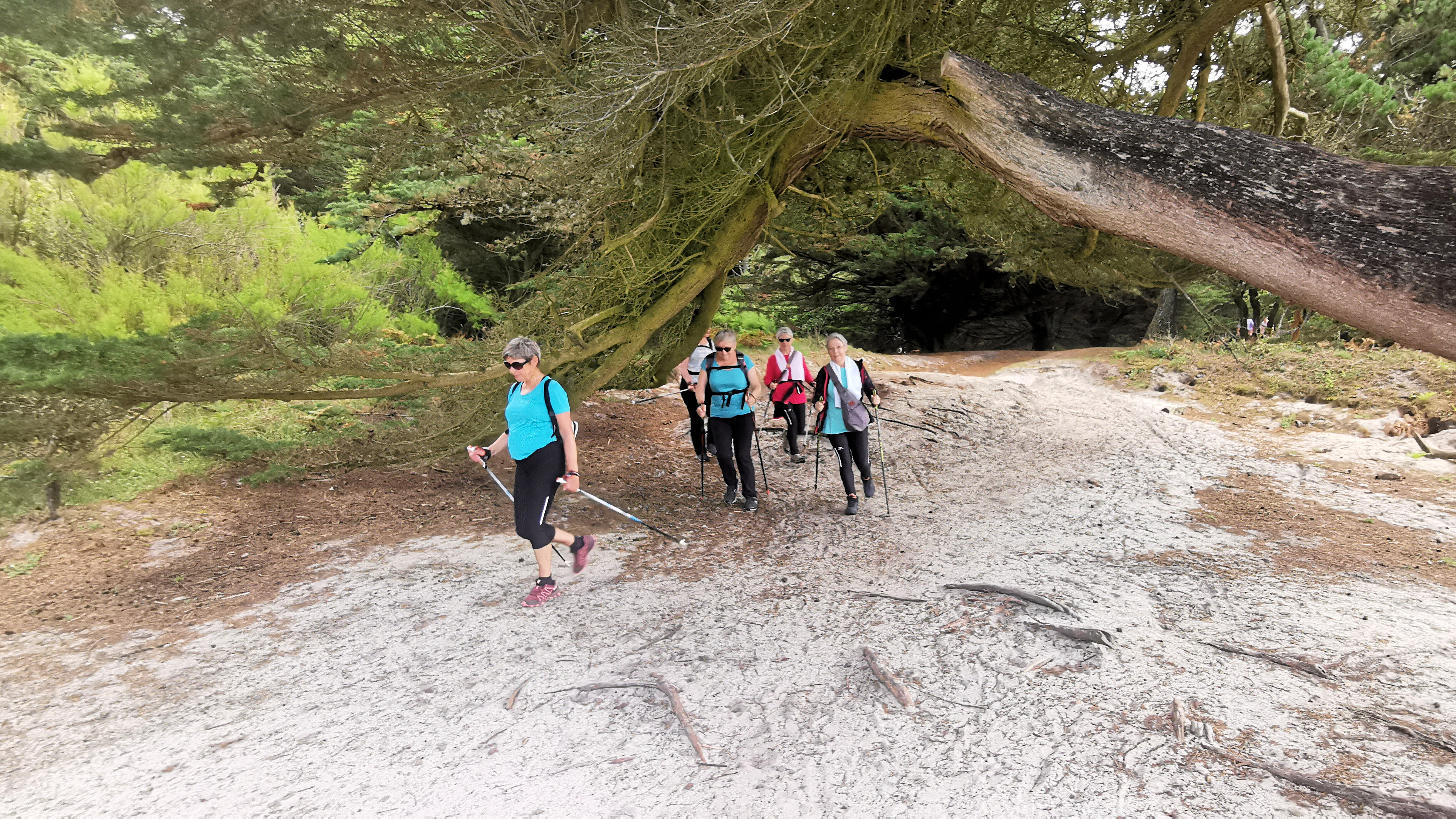 22-IMG_20210726_110136