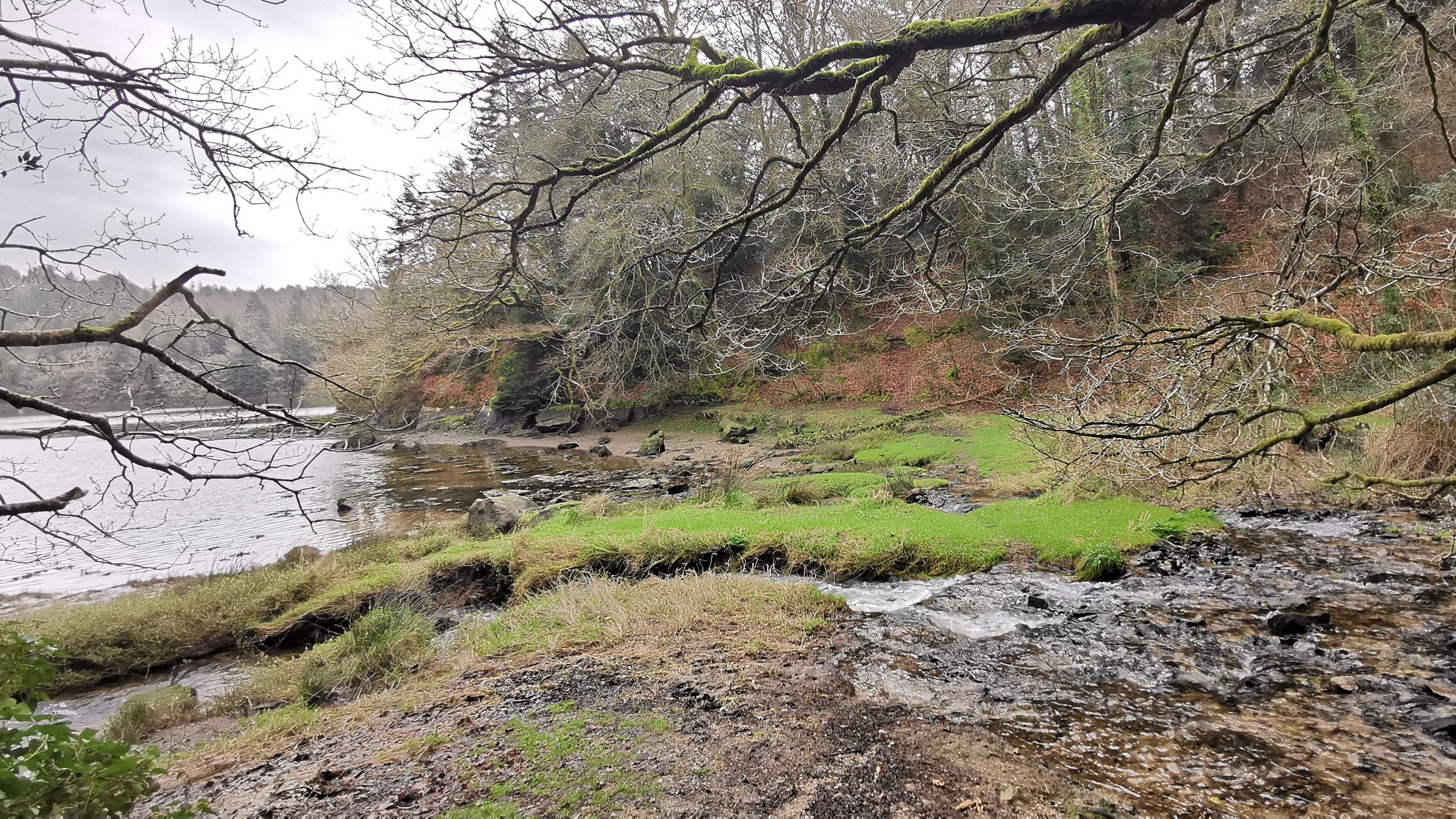 099-IMG_20210220_115321