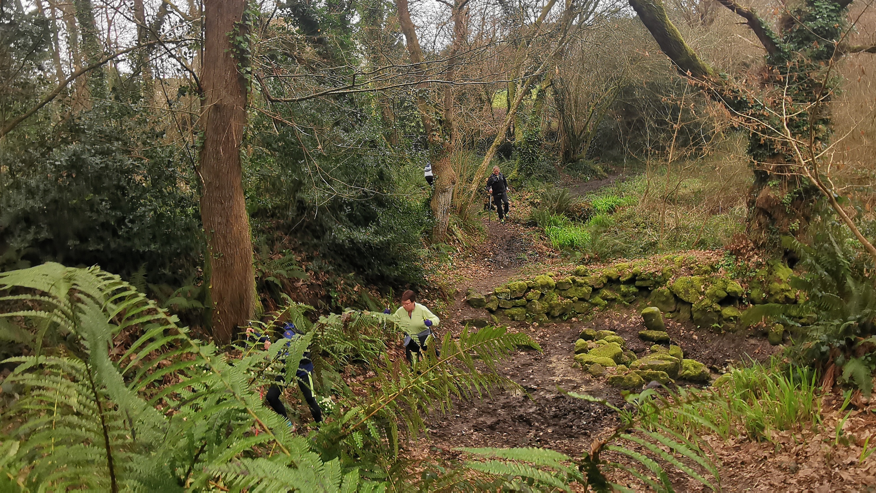 33-IMG_20210304_103951