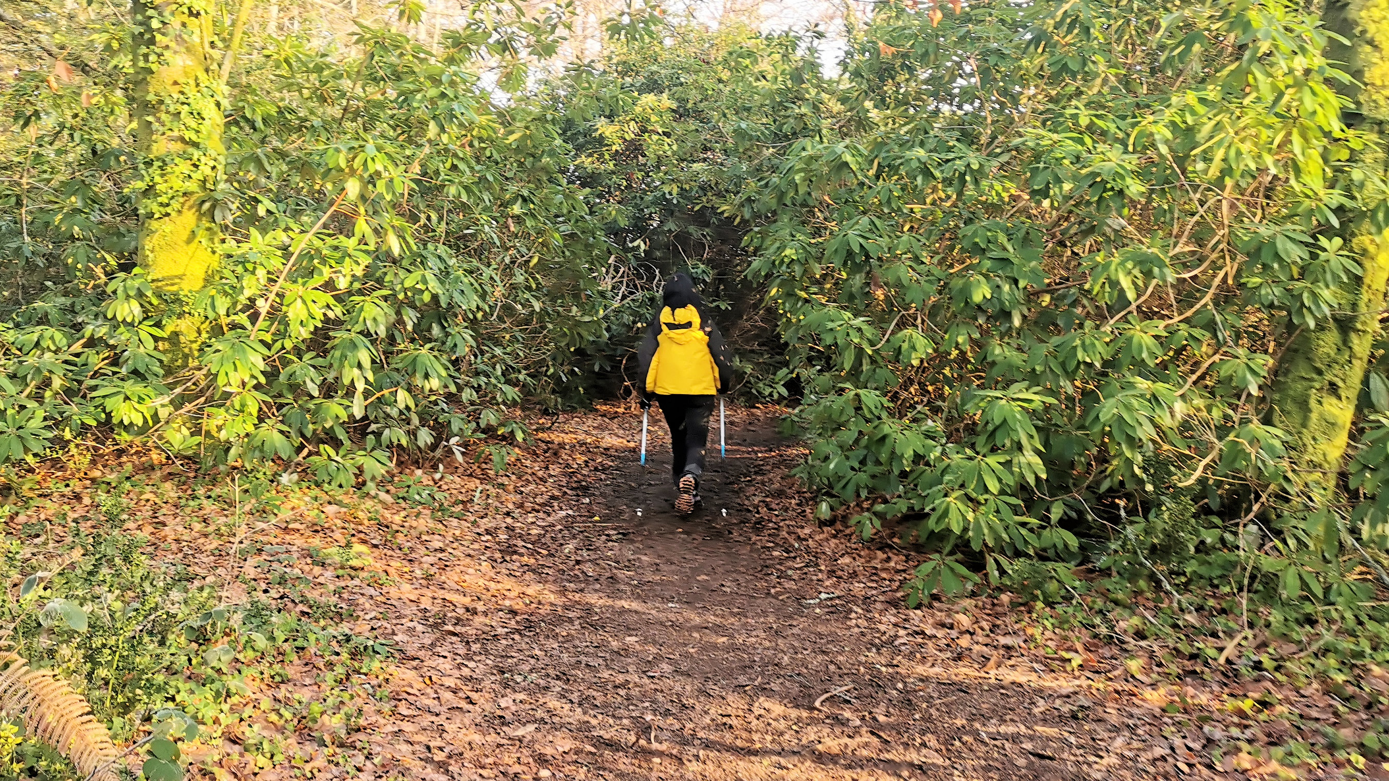 11-IMG_20210107_102723