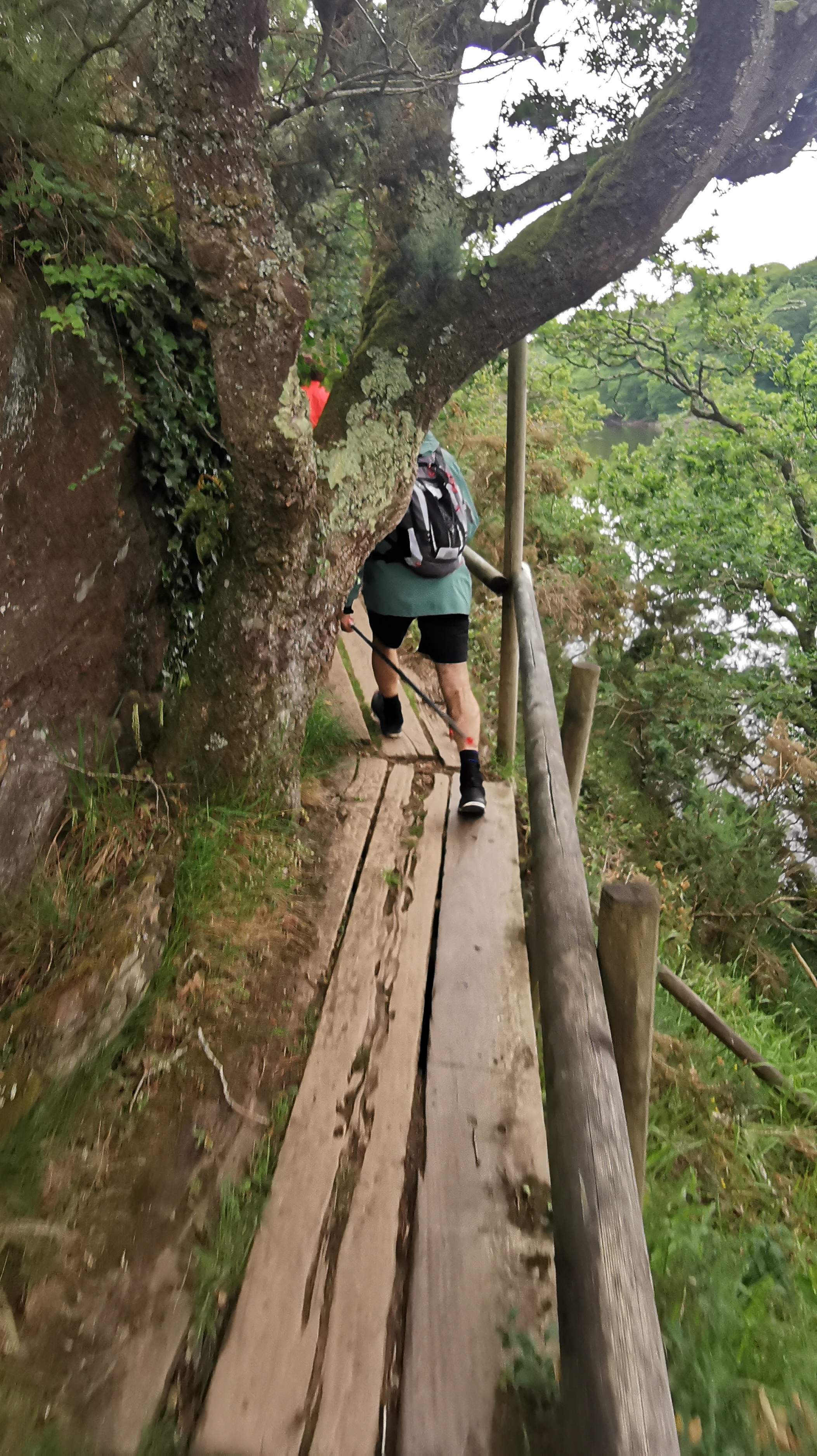 015-IMG_20210606_094348