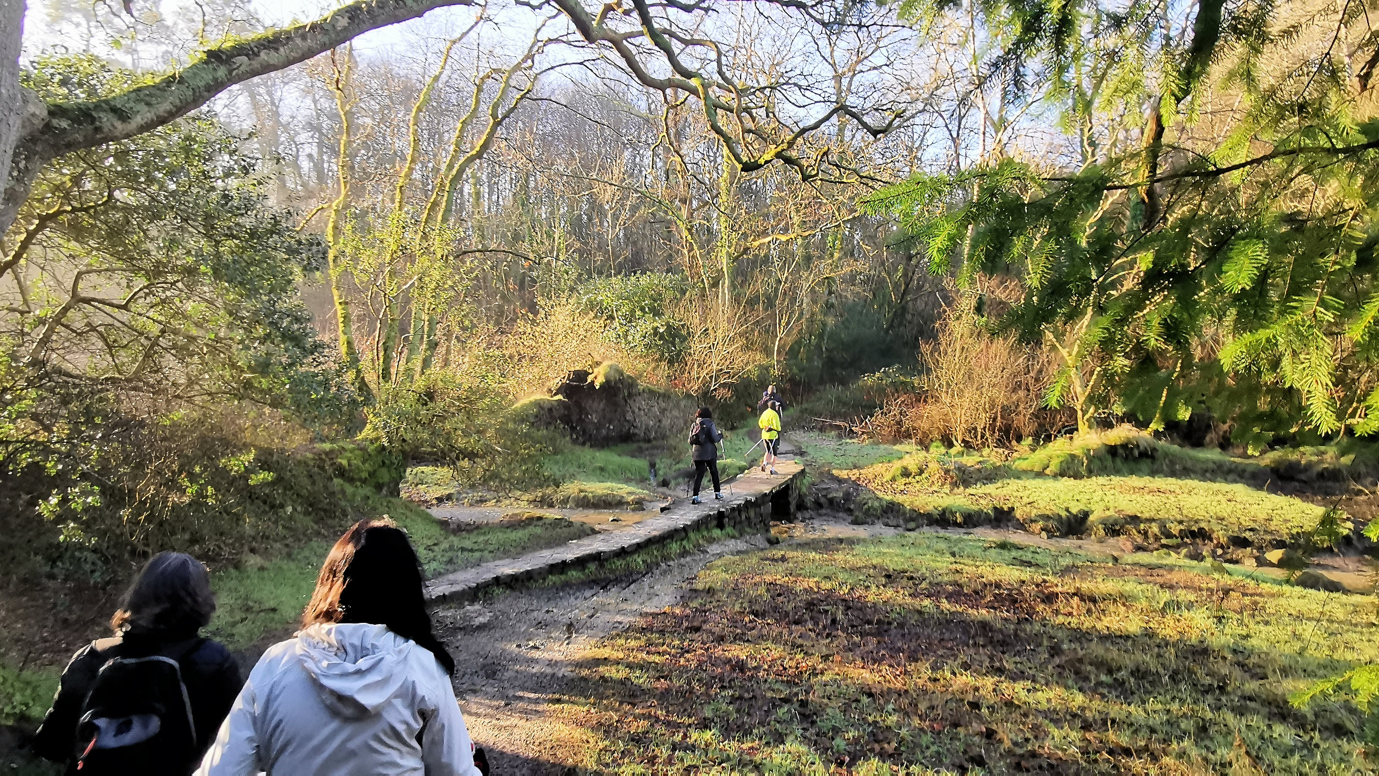 14-IMG_20210206_102937