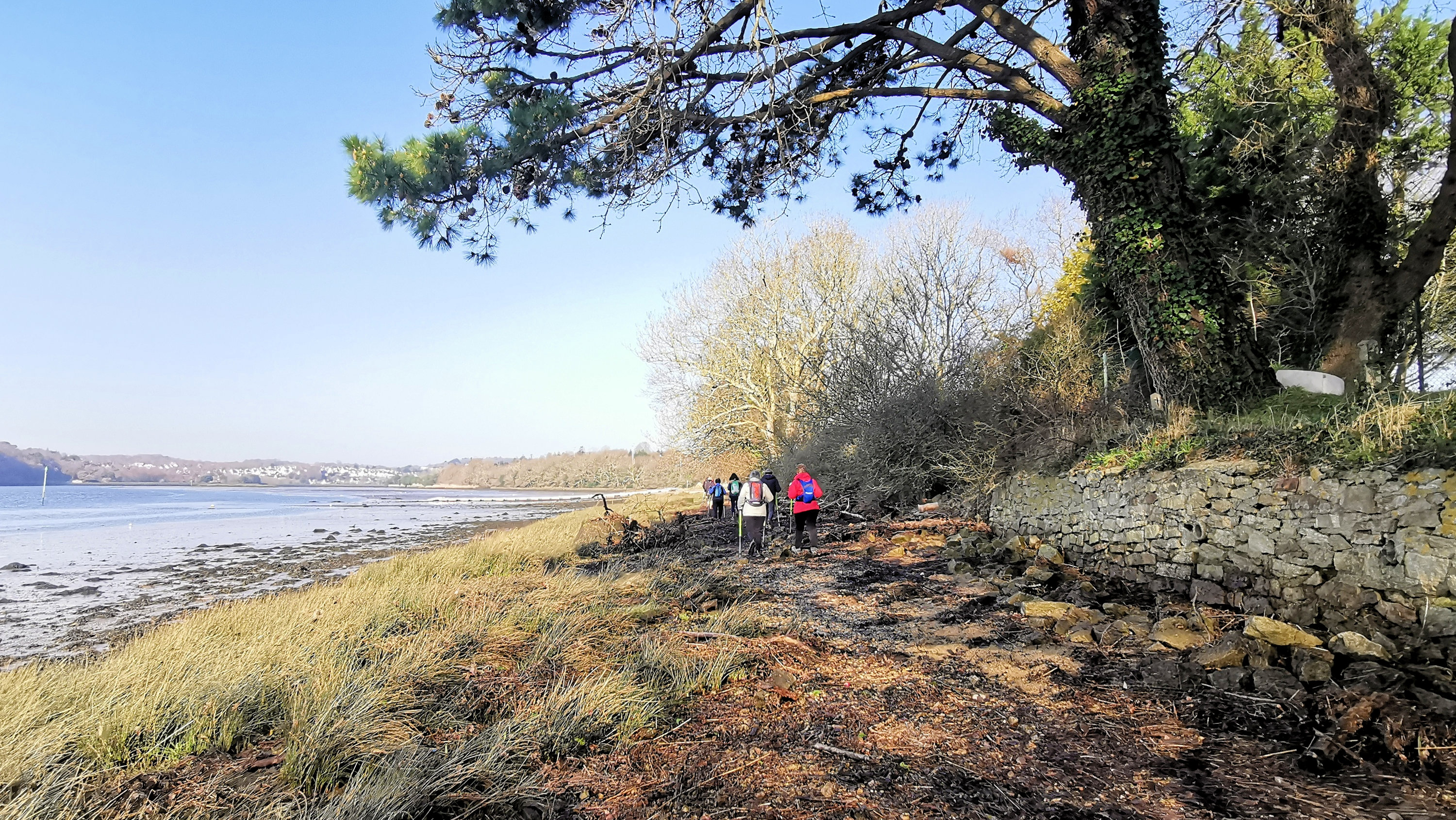 25-IMG_20210301_104311