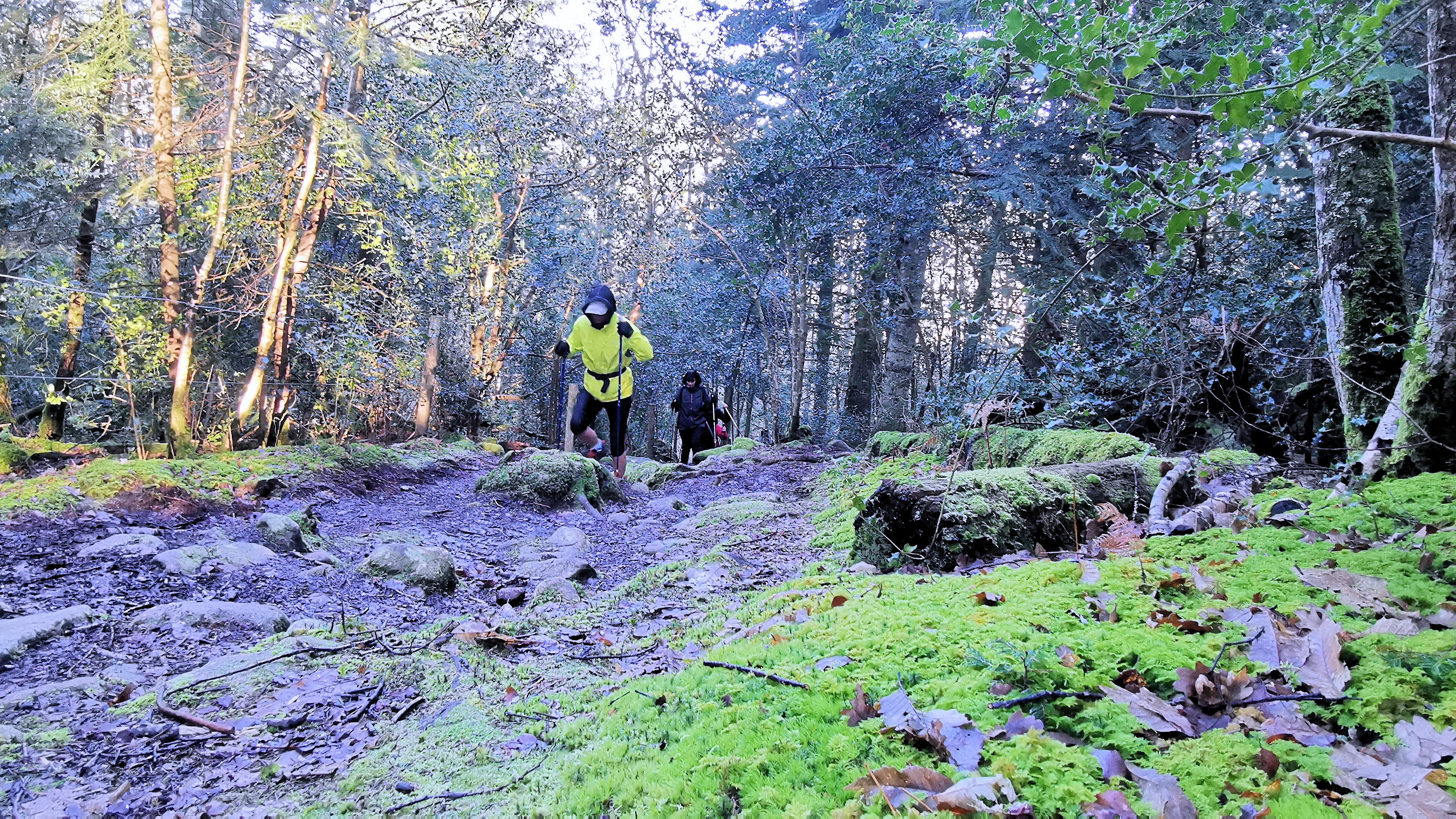 38-IMG_20210206_111147