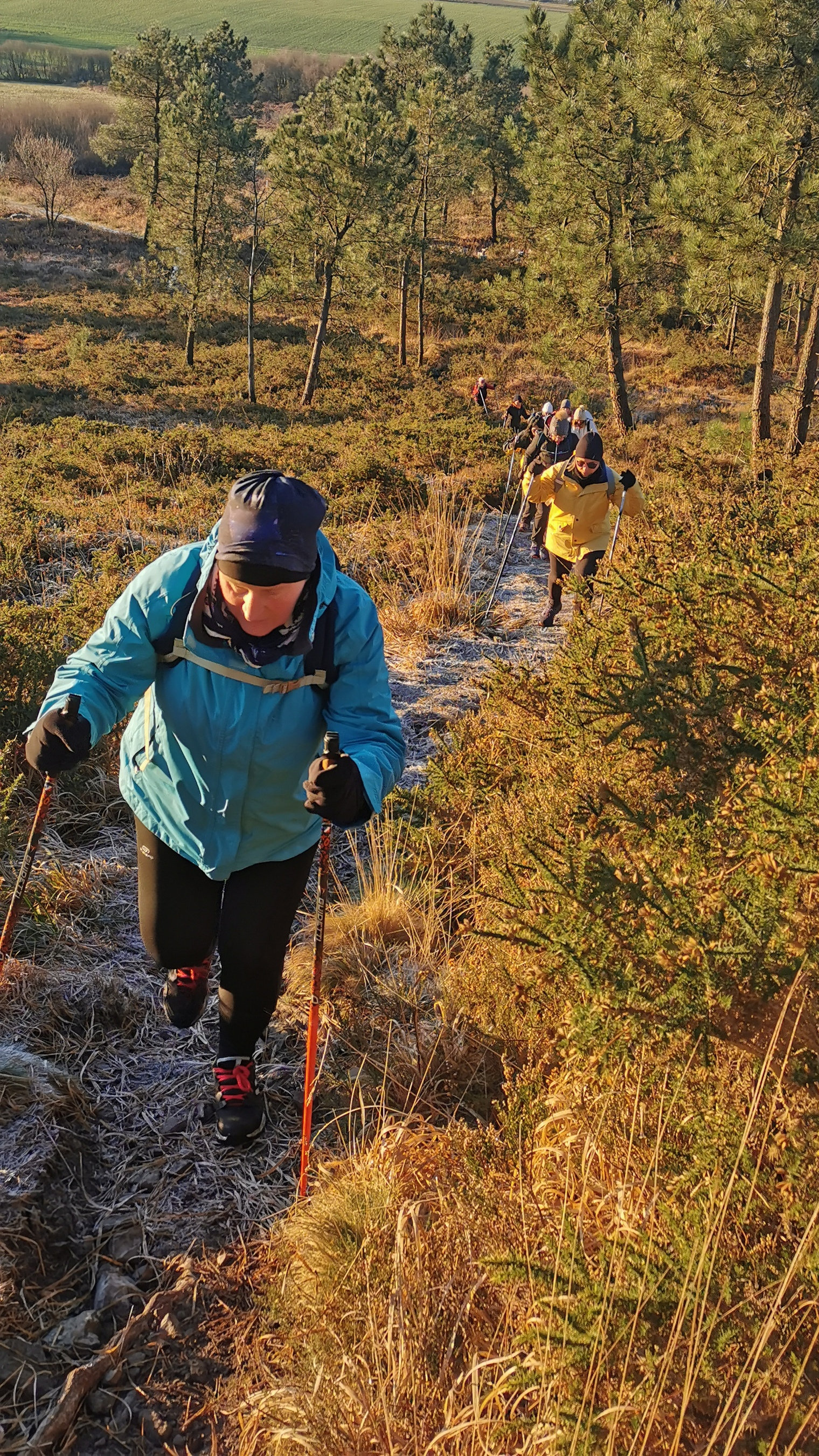 009-IMG_20210110_094704