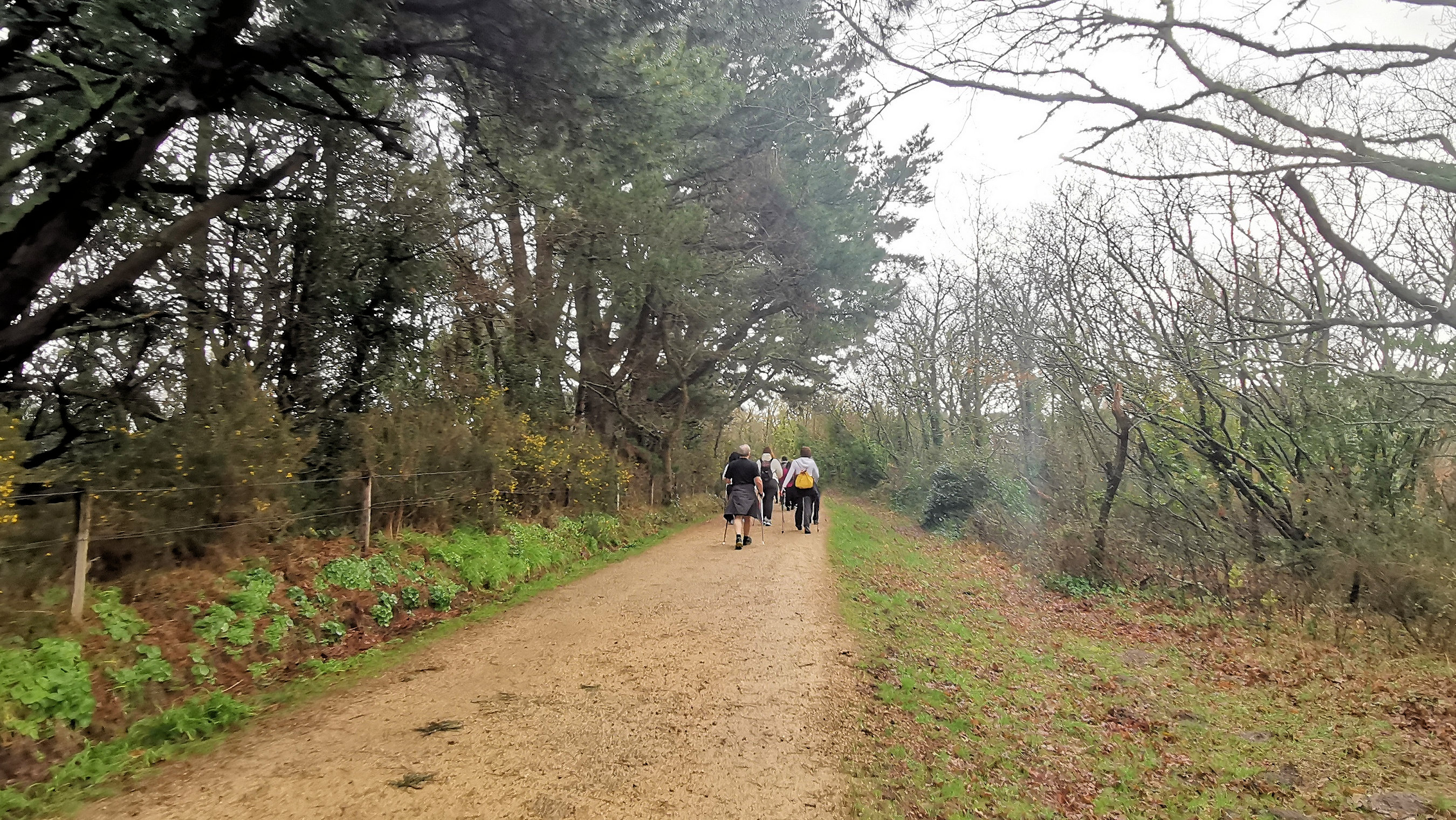 05-IMG_20210221_100948