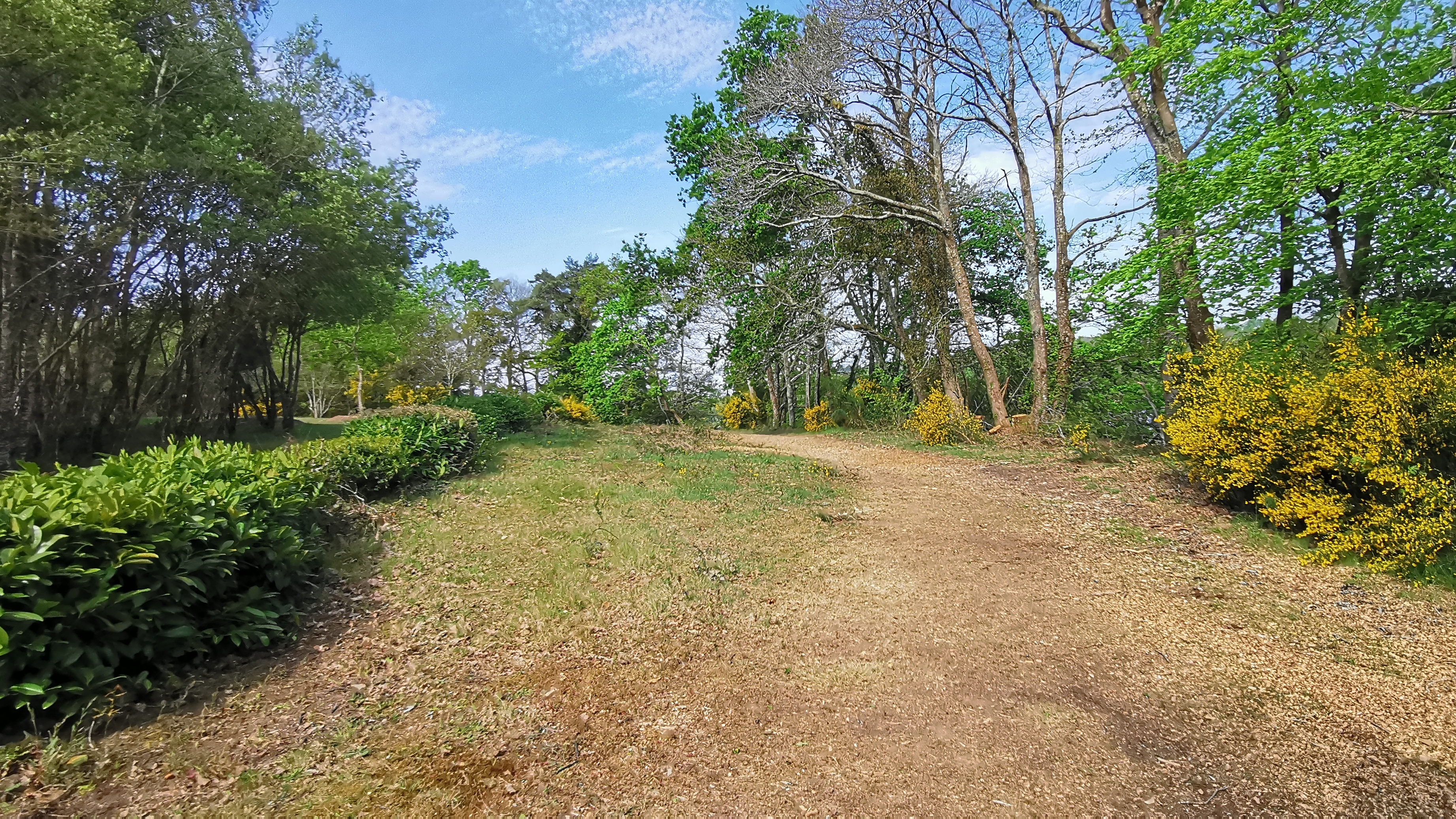 77-IMG_20210425_111517