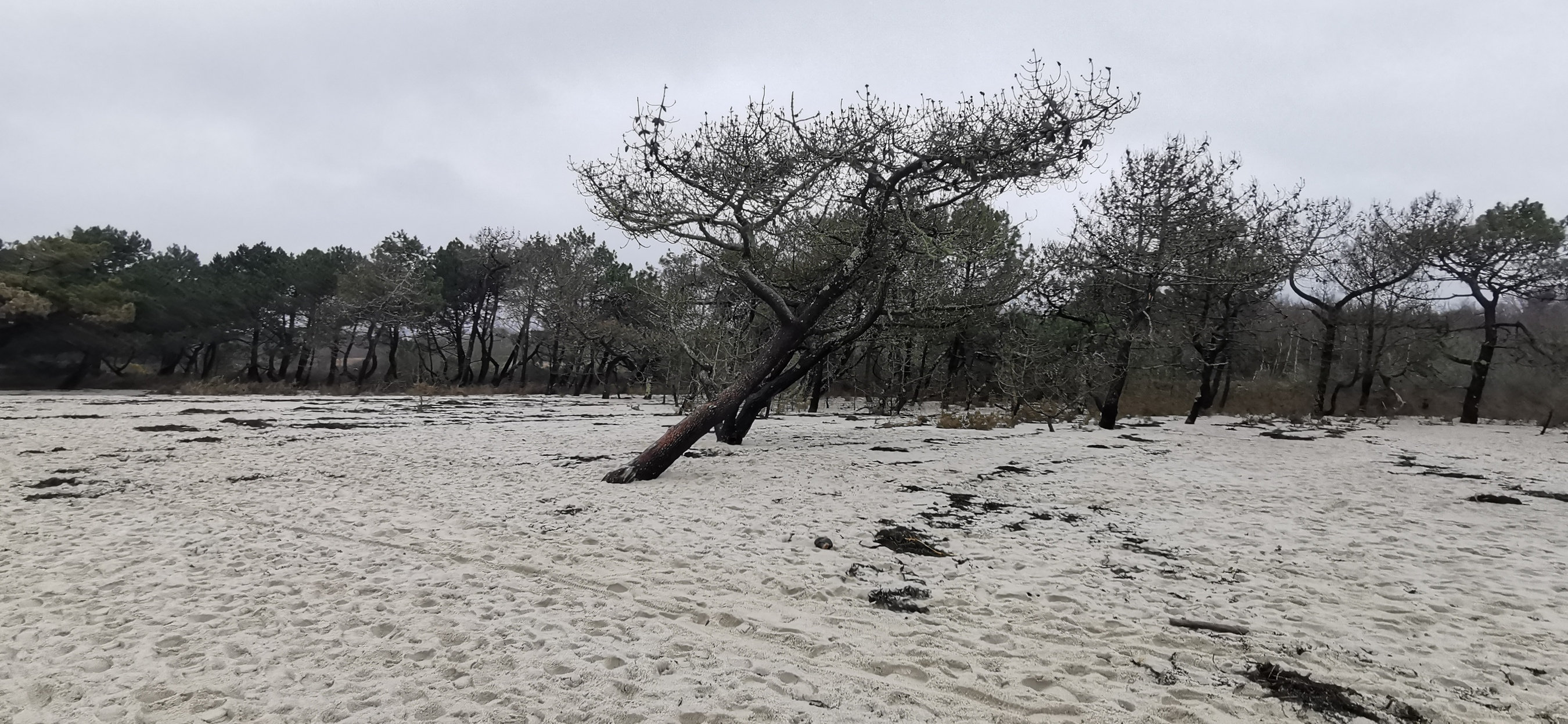 47-IMG_20210221_113507