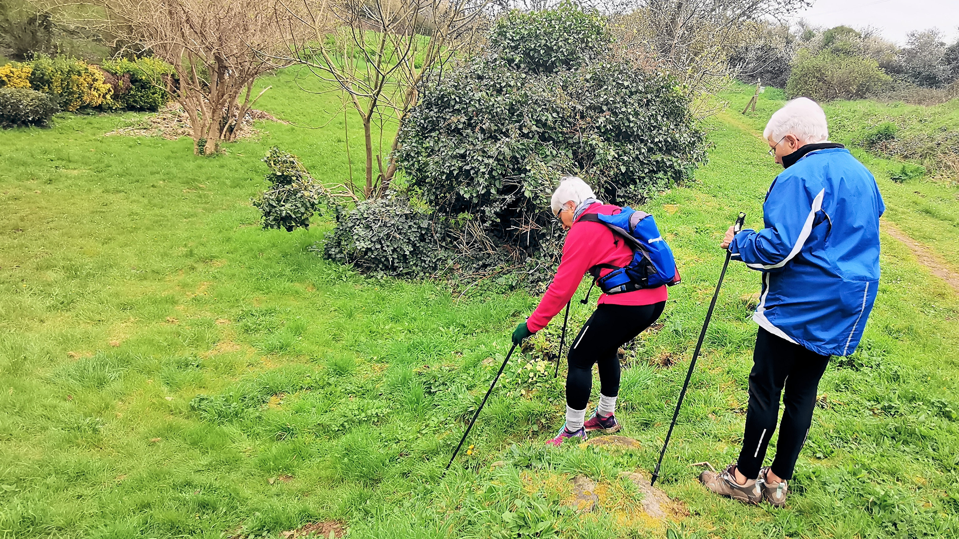 34-IMG_20210321_101944