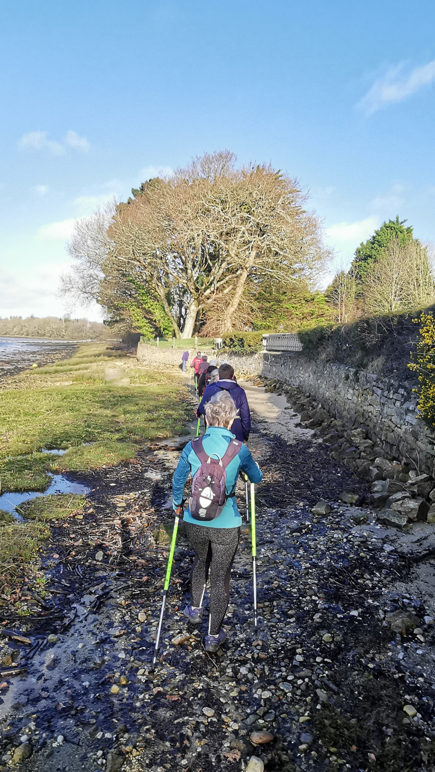 33-IMG_20210223_102943