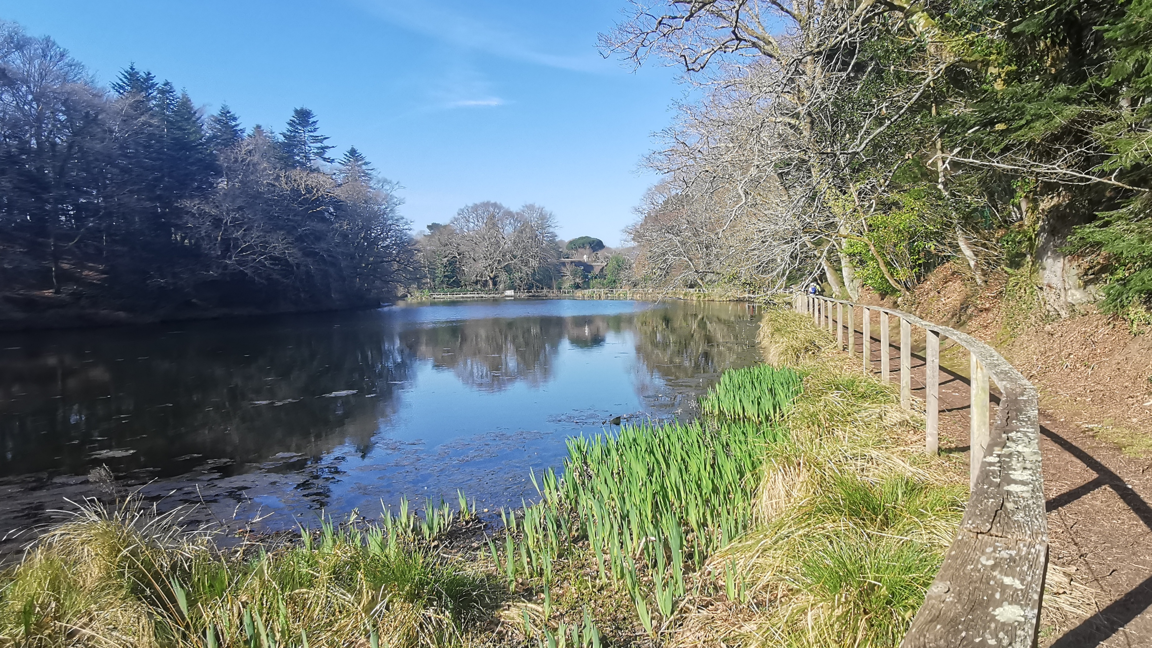 48-IMG_20210318_103328