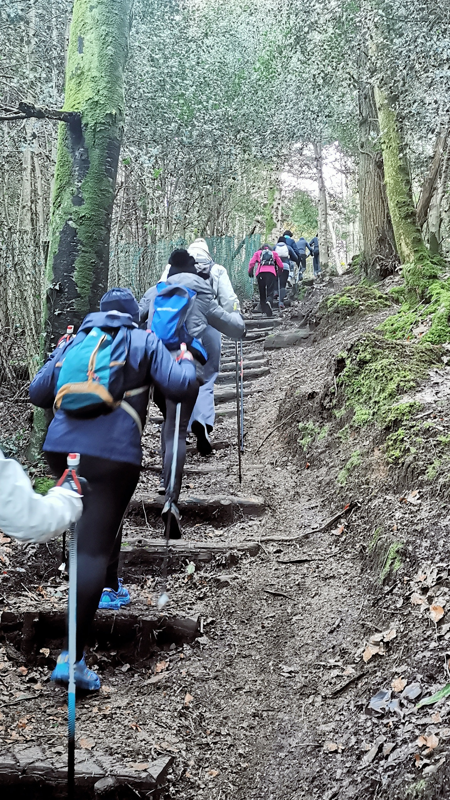 15-IMG_20210207_094945