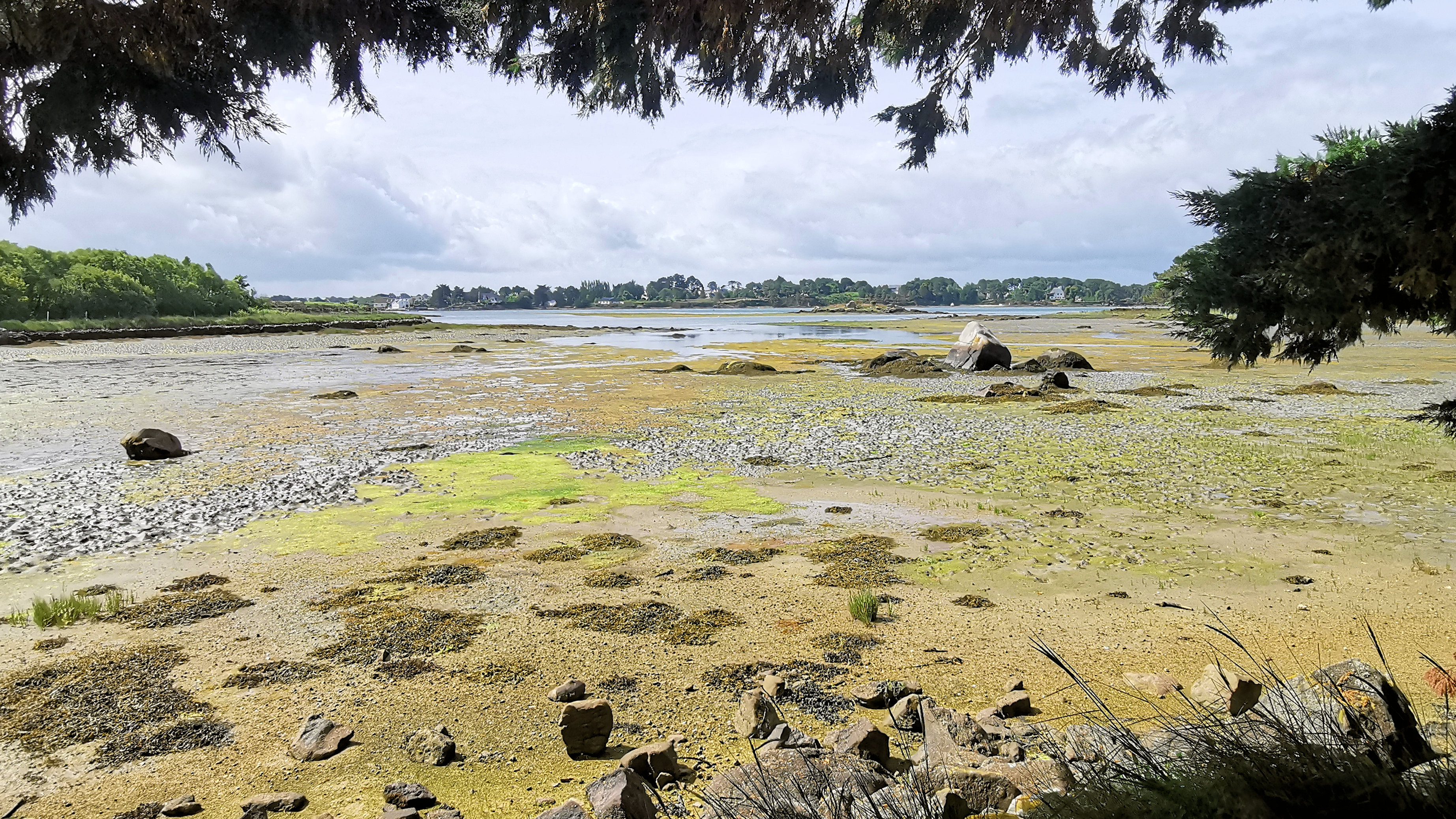 199-IMG_20210704_112927_1