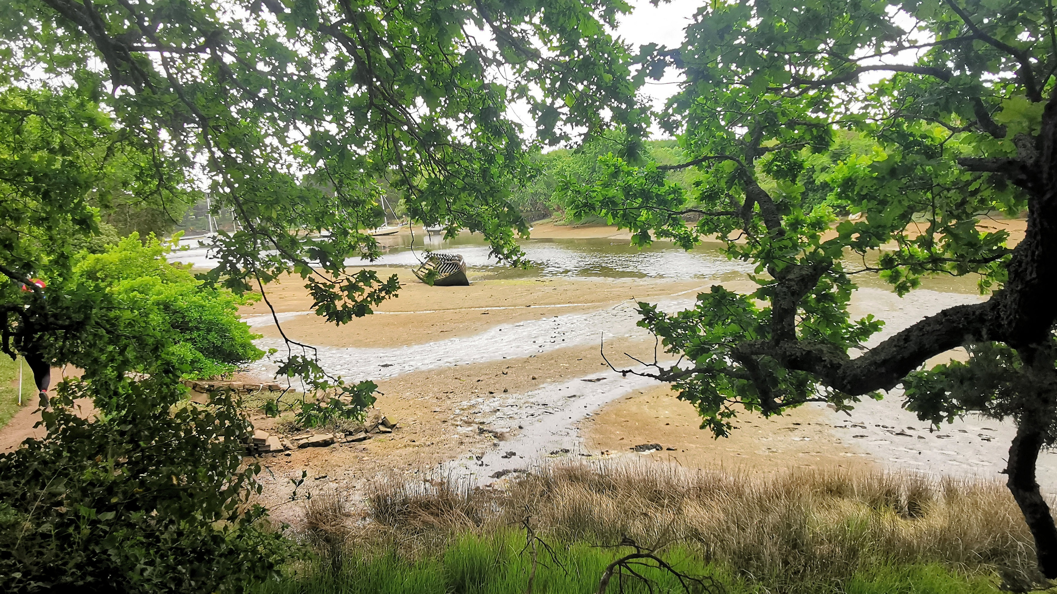 29-IMG_20210520_100821