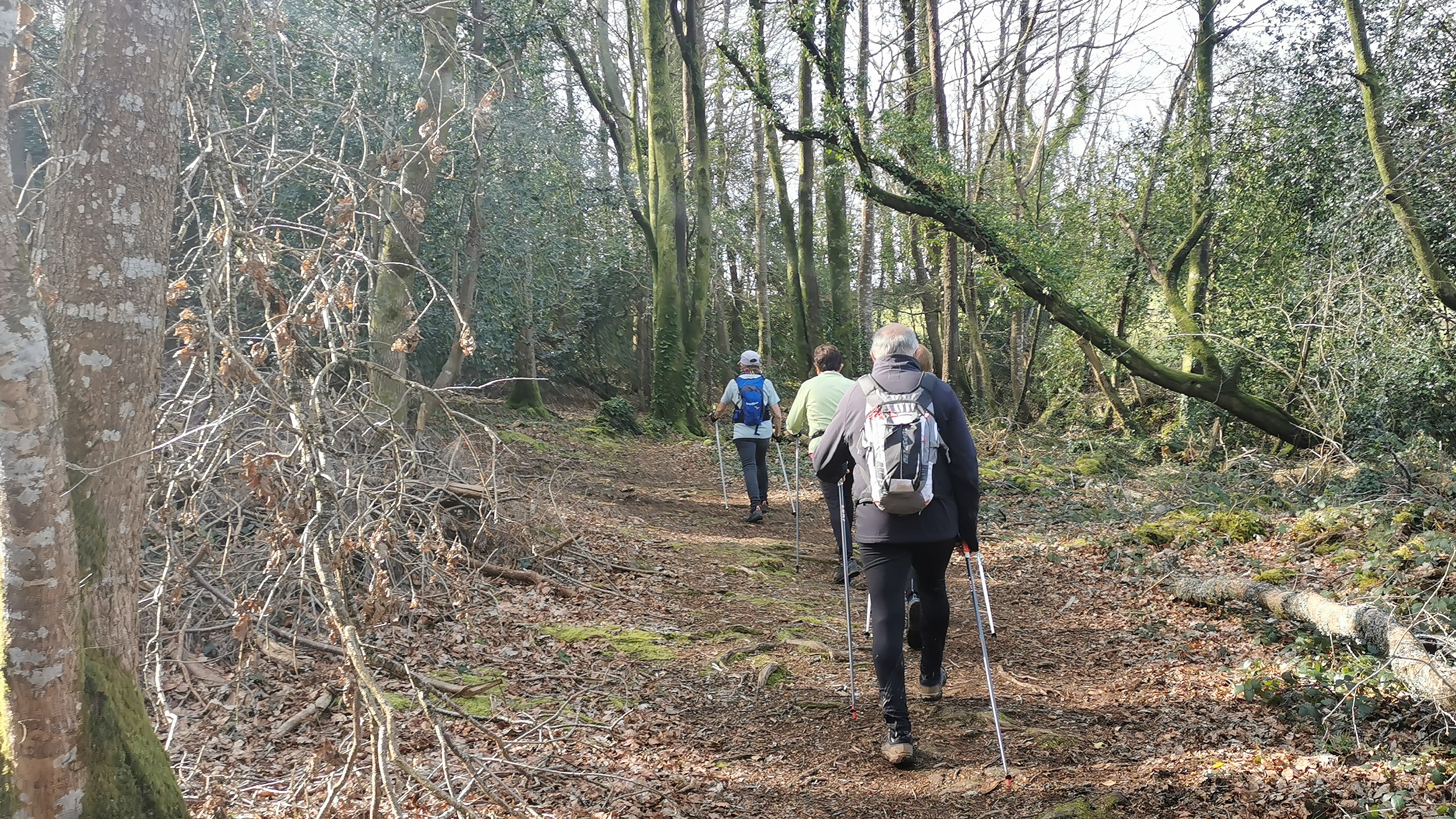 75-IMG_20210318_111243_1