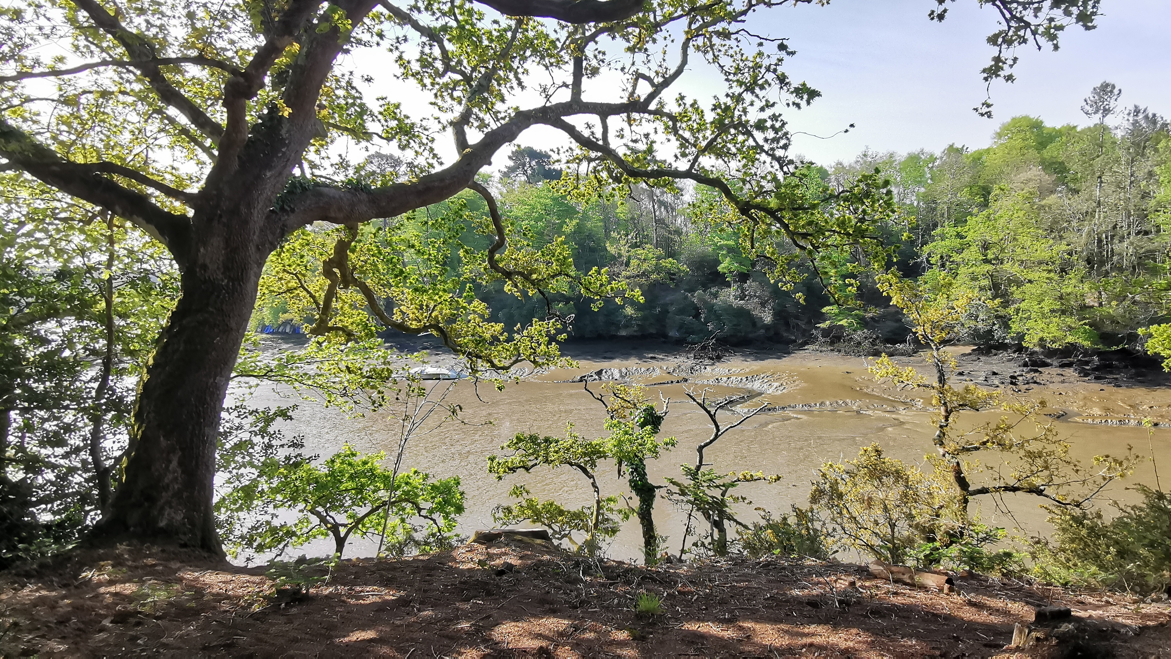 14-IMG_20210426_104506