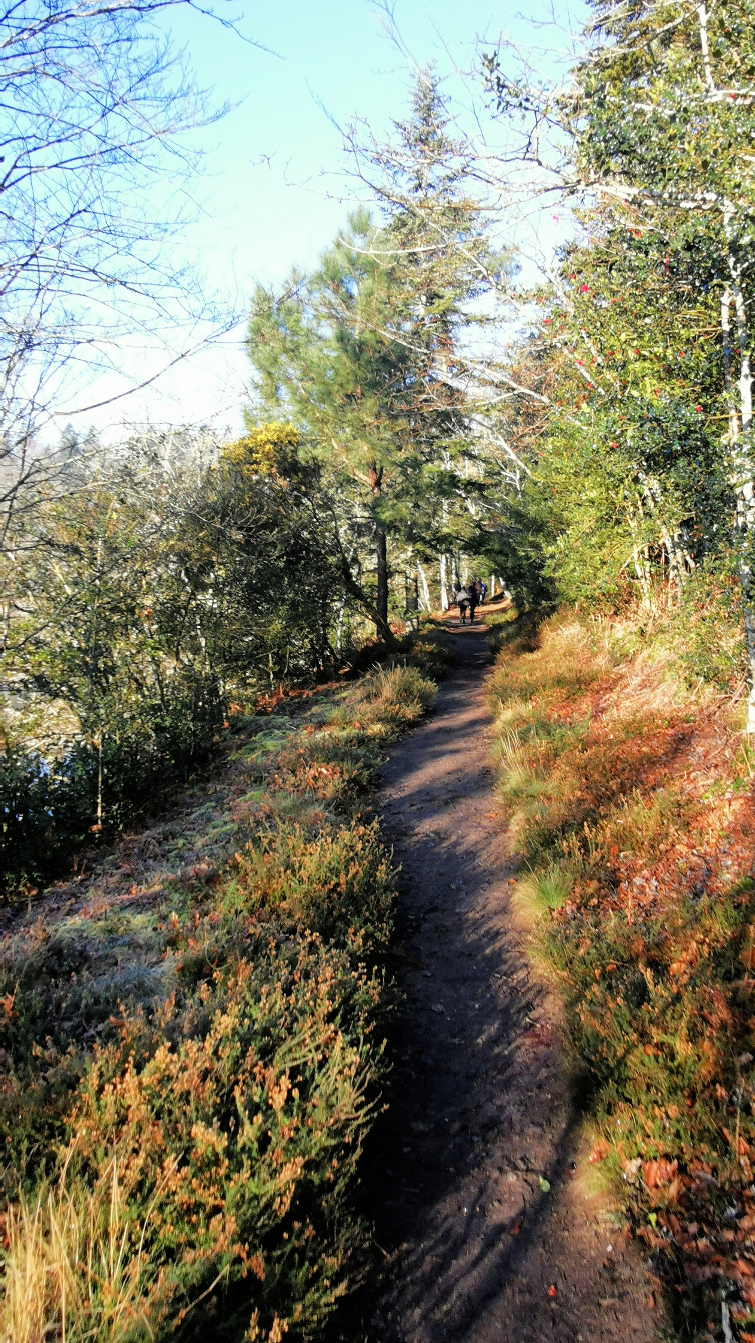 38-IMG_20210109_105436