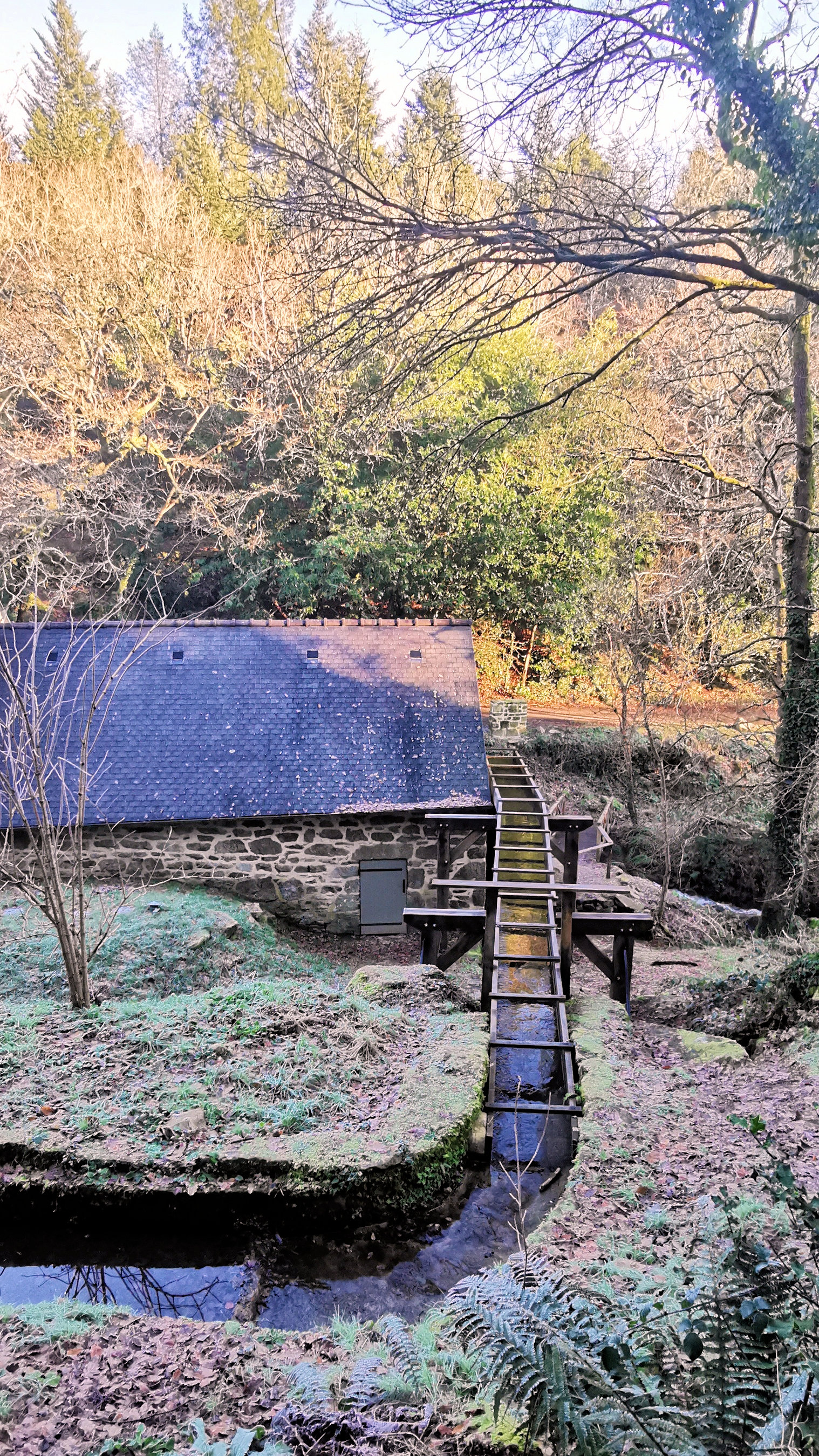 18-IMG_20210109_103843