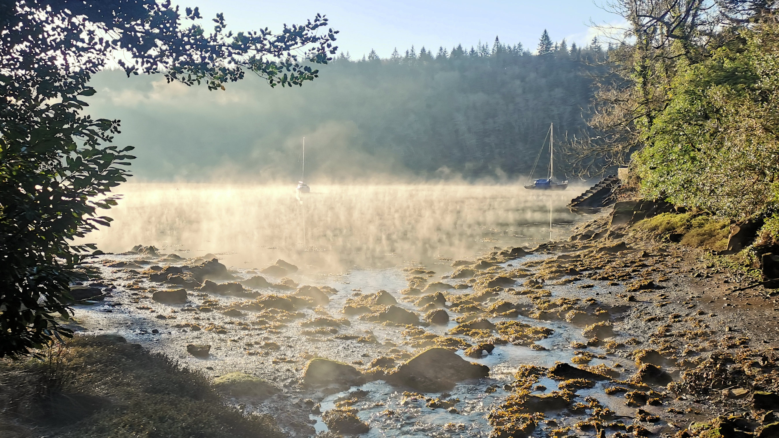 14-IMG_20210207_094837