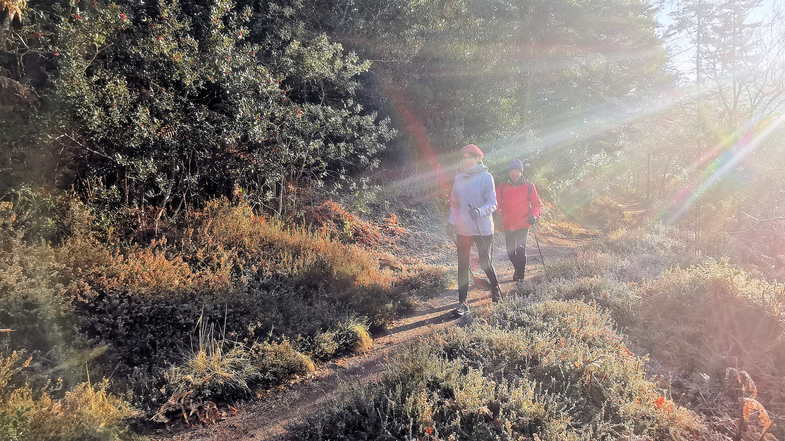 37-IMG_20210109_105424_1