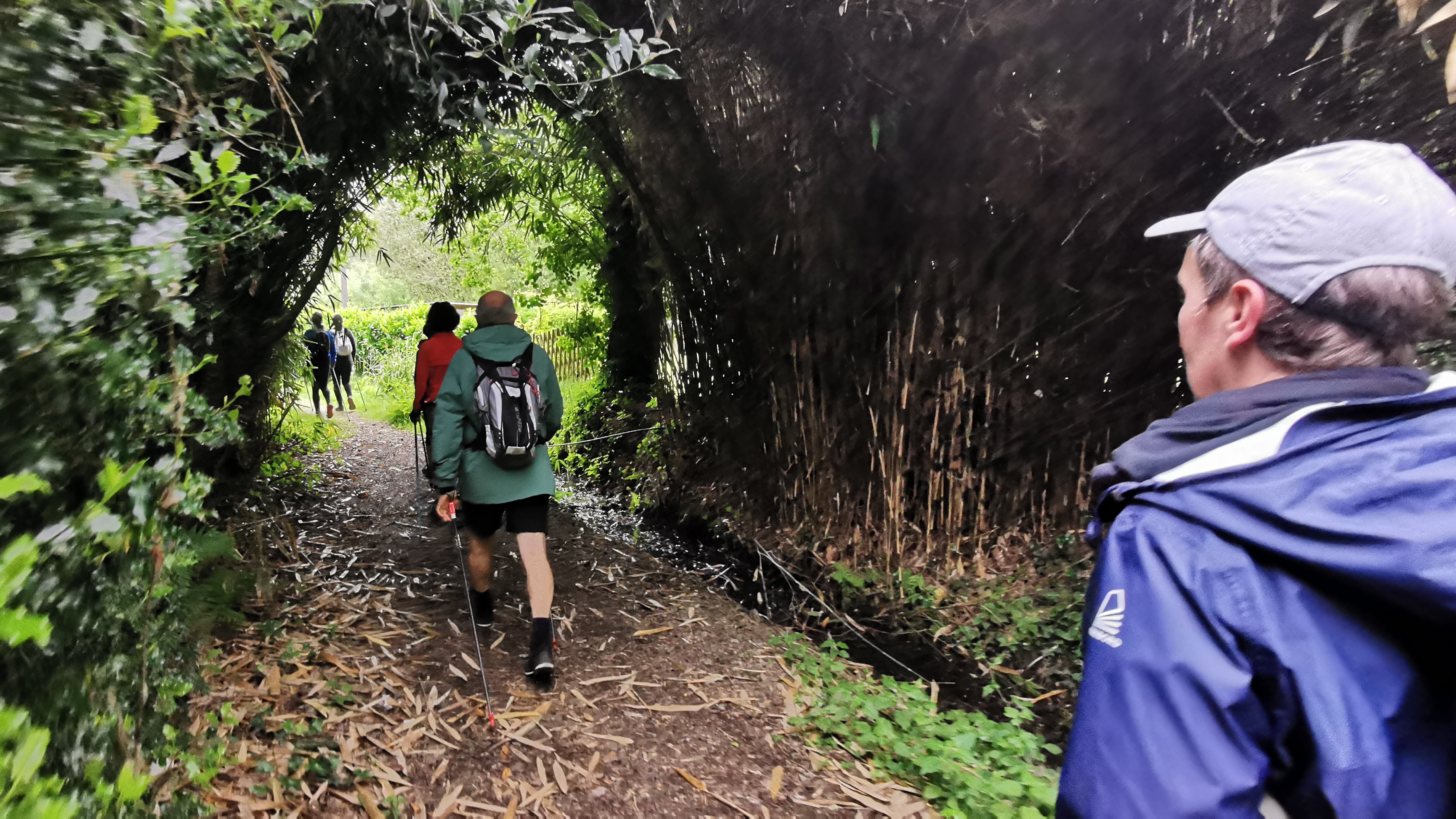 025-IMG_20210606_095148_1